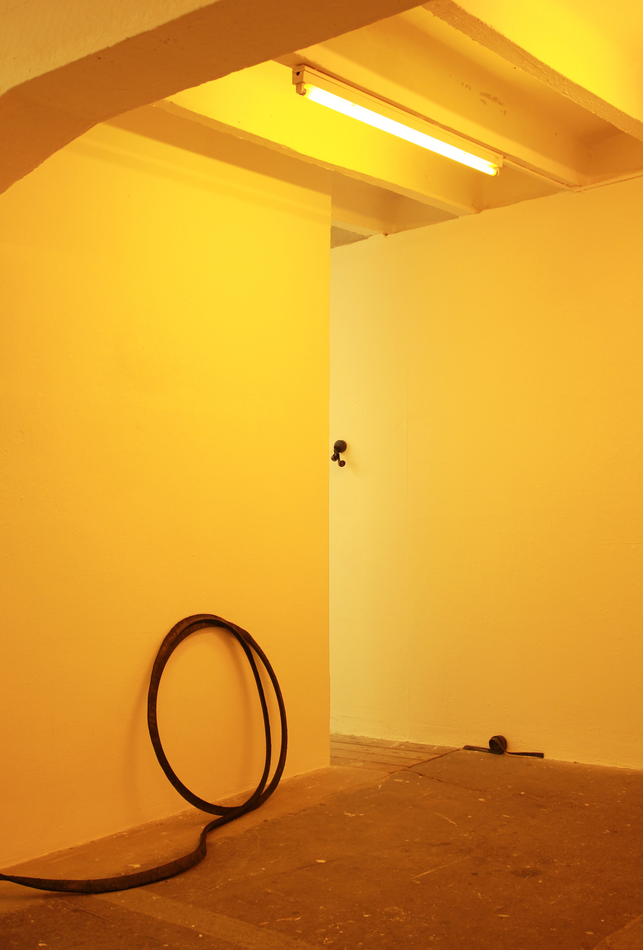 Vanessa Billy Whiplash, 2021 Cut tire, 6000 x 3 x 3 cm; Julia Znoj Deadly Swirls (wrapped up scripts), 2020 Steel strips, galvanised steel strips