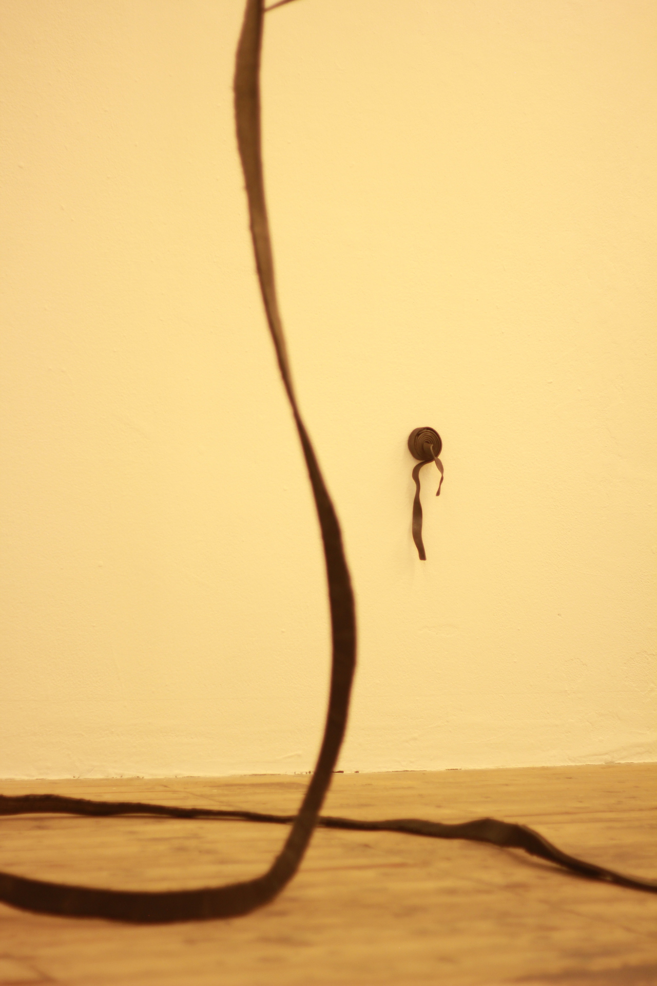 Vanessa Billy Whiplash, 2021 Cut tire, 6000 x 3 x 3 cm; Julia Znoj Deadly Swirls (wrapped up scripts), 2020 Steel strips, galvanised steel strips