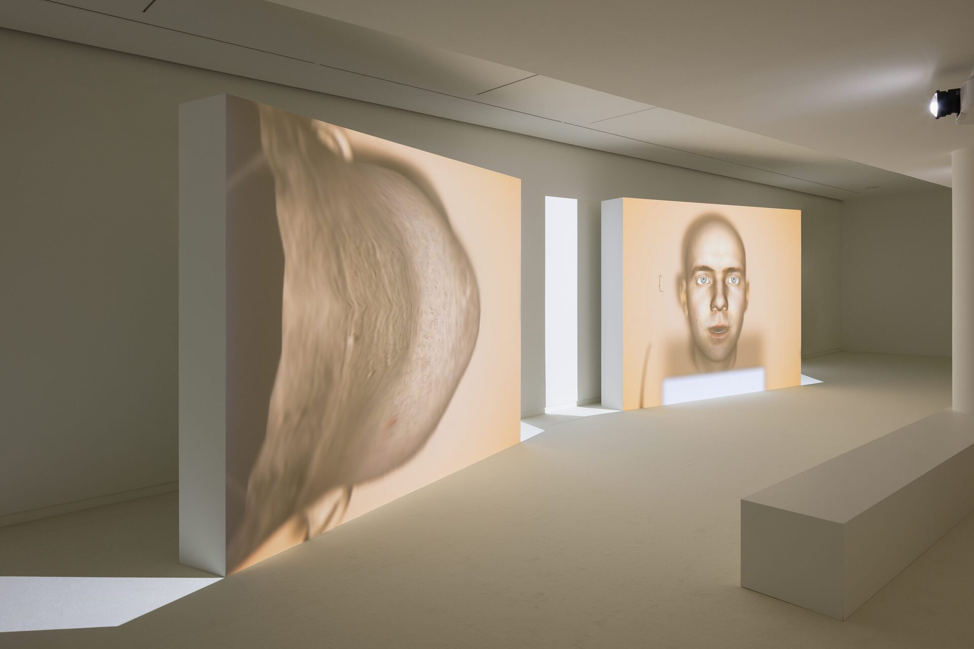 Ed Atkins, Us Dead Talk Love (2012). Two-channel HD video, colour, sound, 34min 24. Courtesy of the artist and Fondation Louis Vuitton. Photo credits: © Timo Ohler / Louis Vuitton