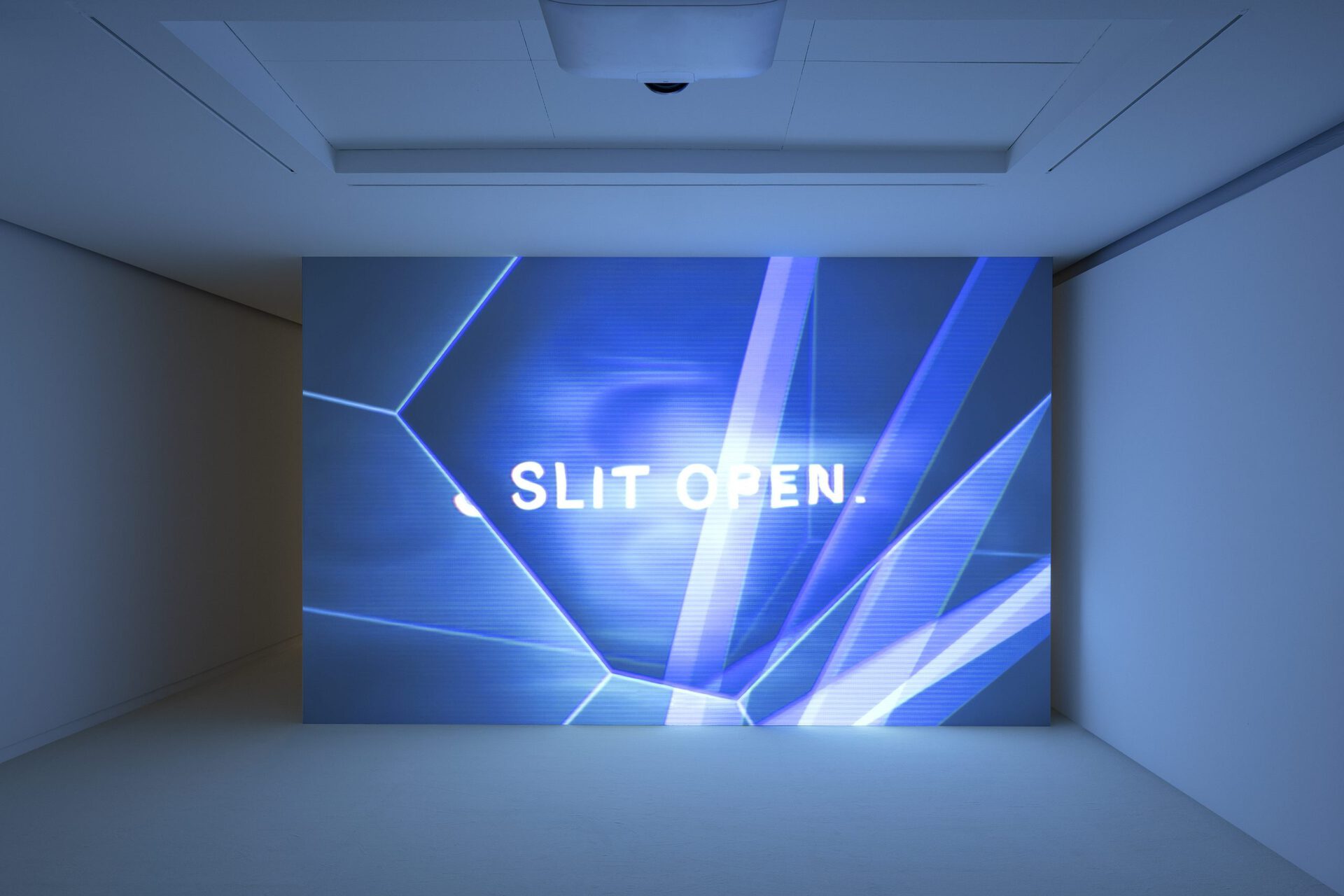 Ed Atkins, Even Pricks (2013). HD video, 8min. Courtesy of the artist and Fondation Louis Vuitton. Photo credits: © Timo Ohler / Louis Vuitton