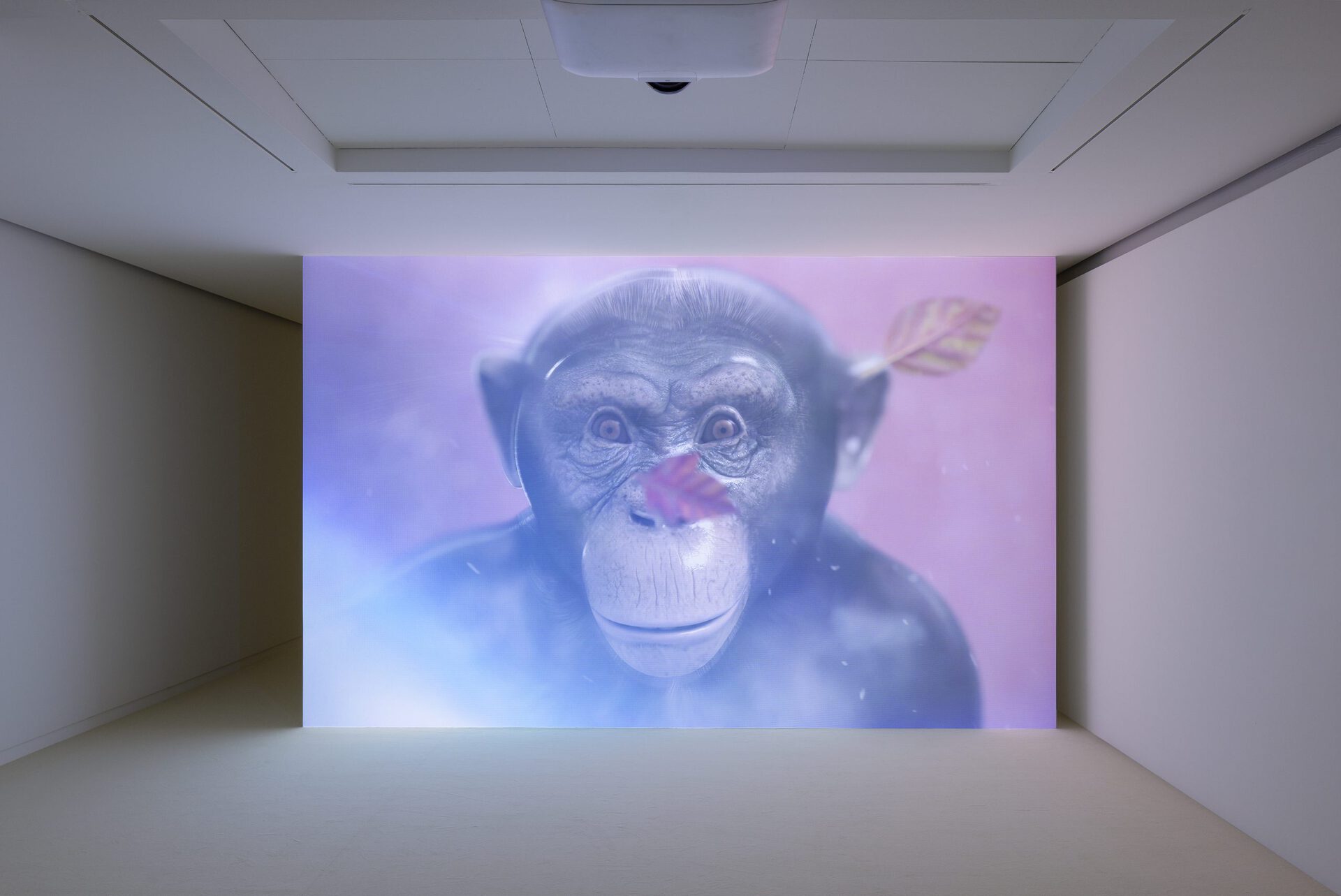 Ed Atkins, Even Pricks (2013). HD video, 8min. Courtesy of the artist and Fondation Louis Vuitton. Photo credits: © Timo Ohler / Louis Vuitton