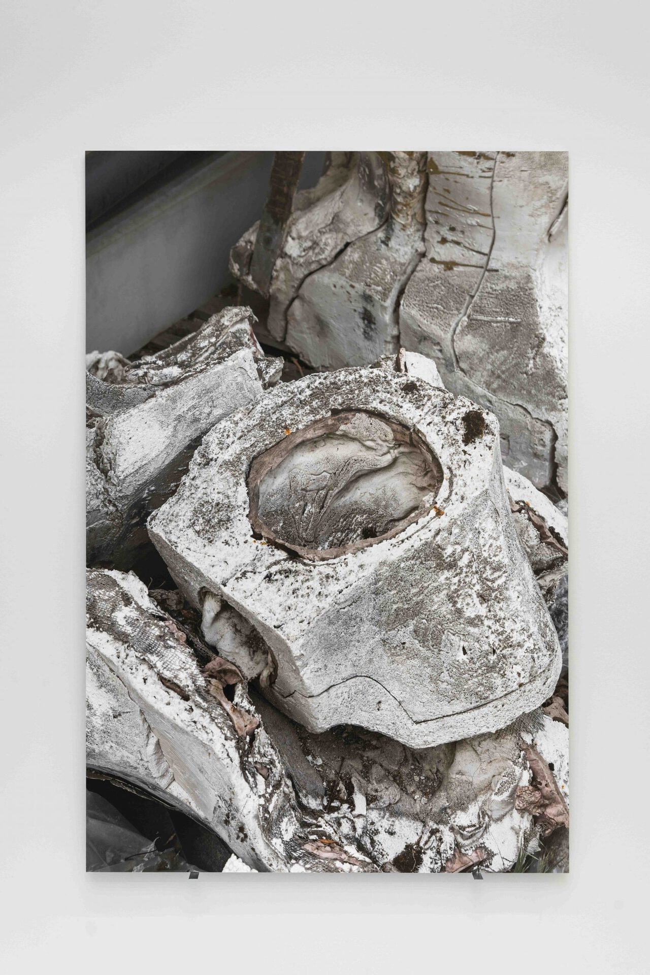 Estefanía Landesmann. A resonant shell, 2021 Inkjet print on Baryt paper mounted on Aluminium honeycomb panel. 150 x 100 x 1 cm