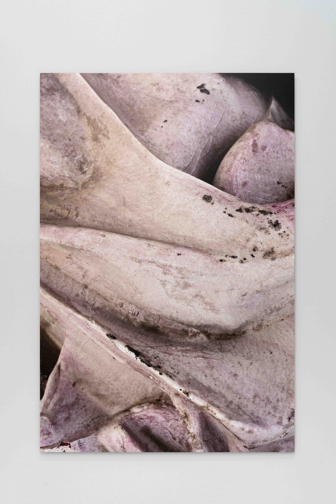 Estefanía Landesmann. Intemperie, 2021 Inkjet print on Baryt paper mounted on Aluminium. 150 x 100 x 0,2 cm