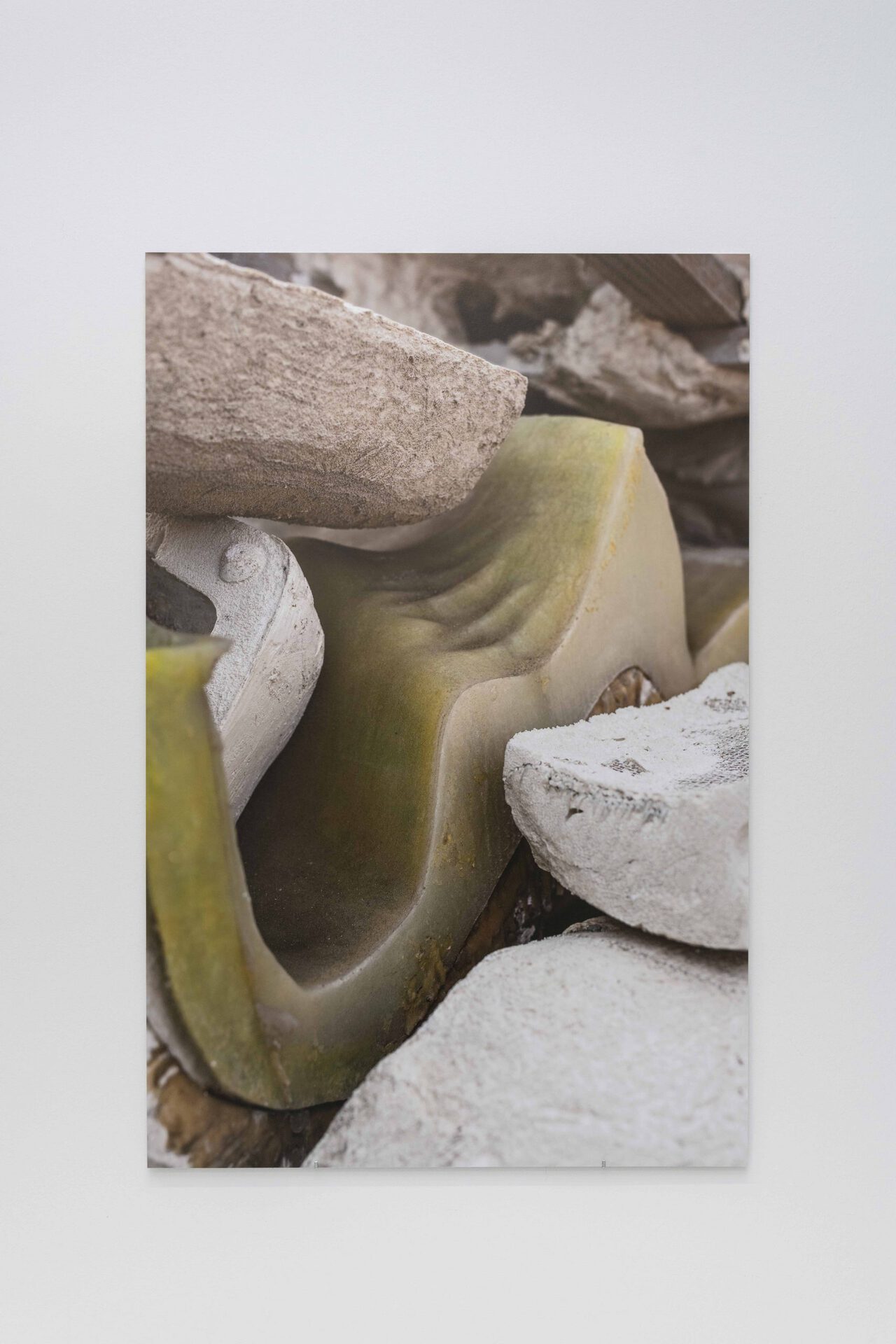 Estefanía Landesmann. La imagen faltante, 2021 Inkjet print on Baryt paper mounted on Aluminium honeycomb panel. 110 x 73 x 0,5 cm