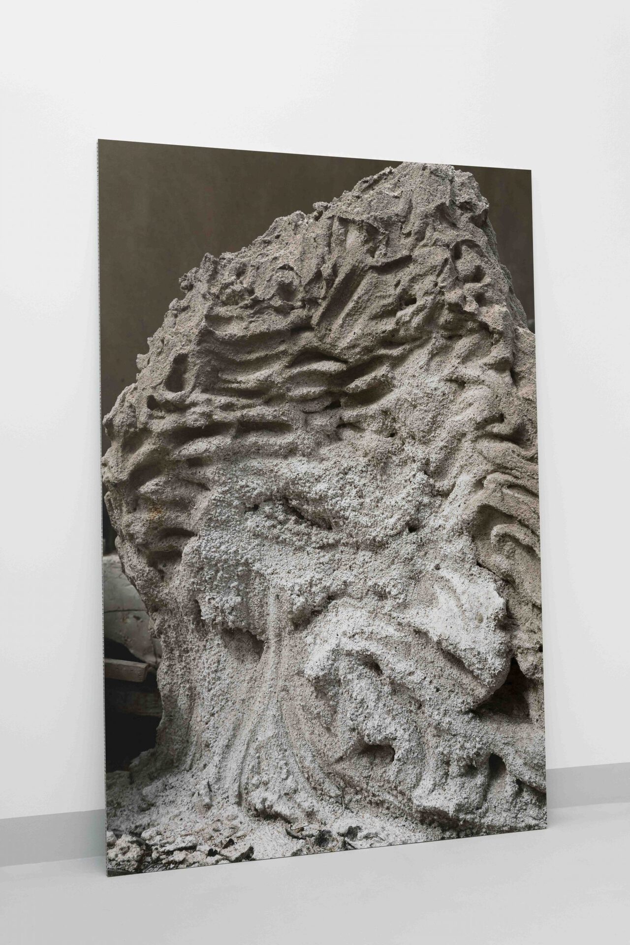Estefanía Landesmann. Lleva en la boca un rostro humano, 2021 Inkjet print on Baryt paper mounted on Aluminium honeycomb panel. 180 x 120 x 1,5 cm