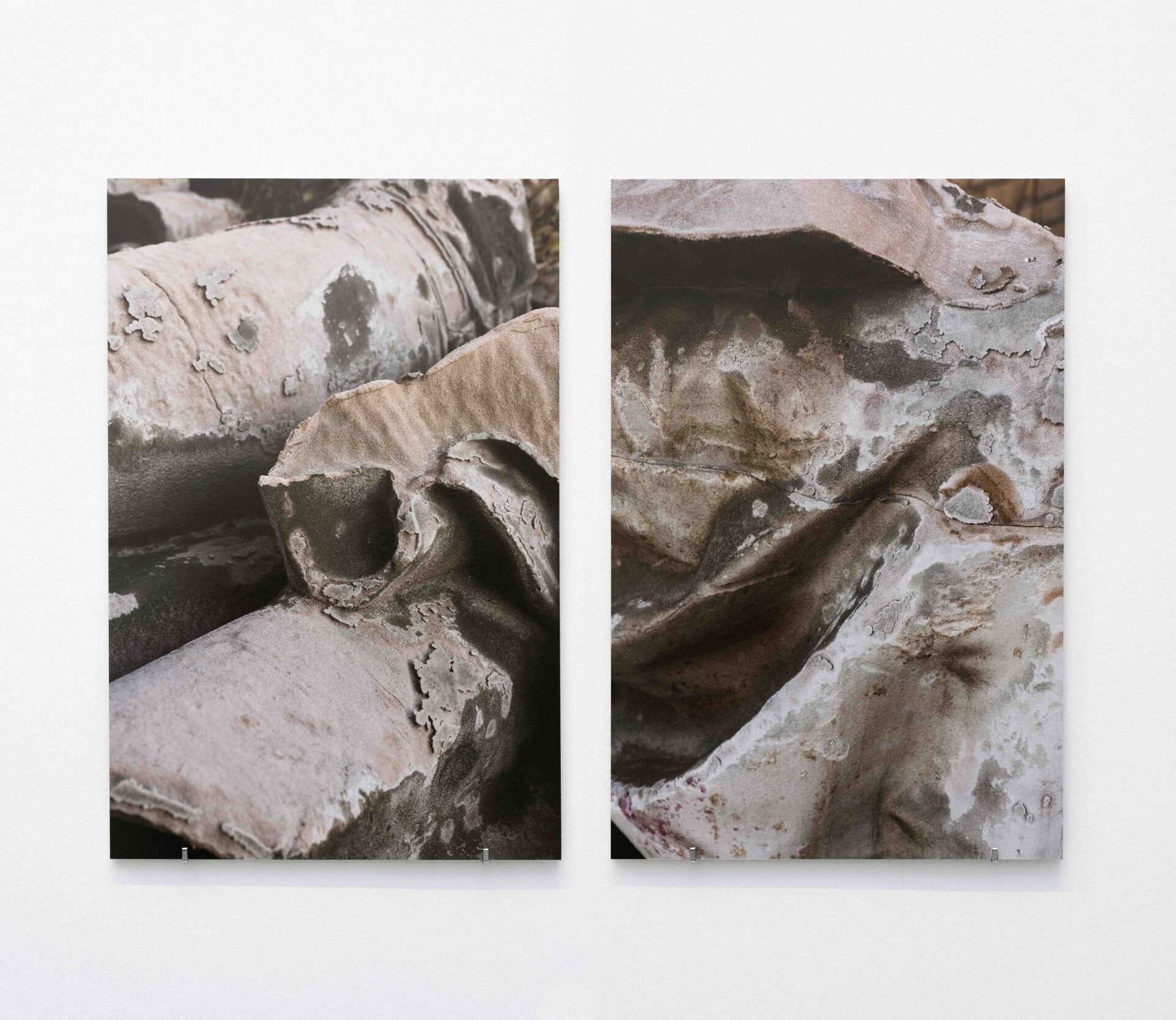 Estefanía Landesmann. Mold I, Mold II, 2021 Inkjet print on Baryt paper mounted on Aluminium honeycomb panel. 45 x 30 x 0,5 cm