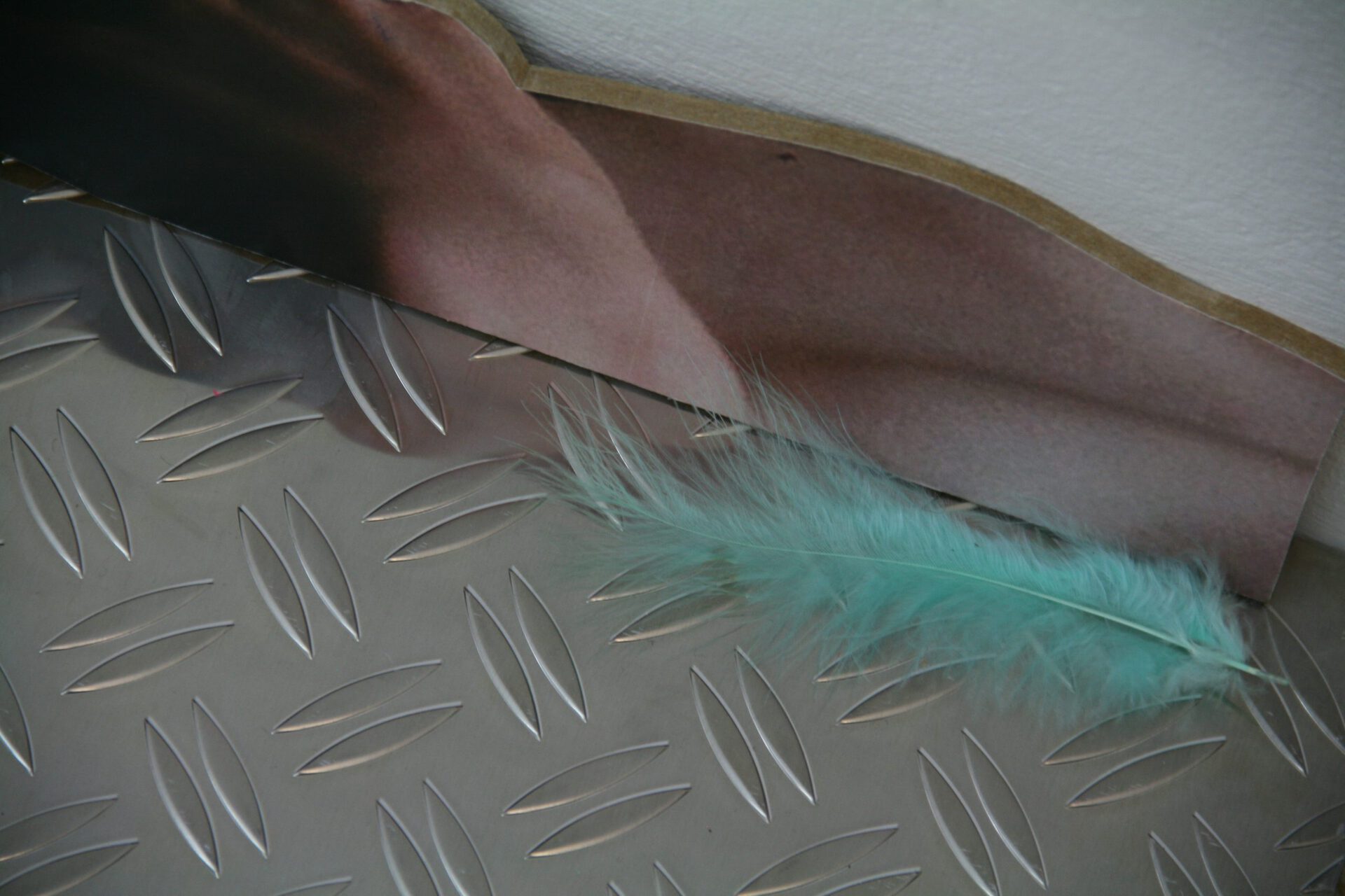 Jana Rippmann, Feathergreen, 2022, mixed media