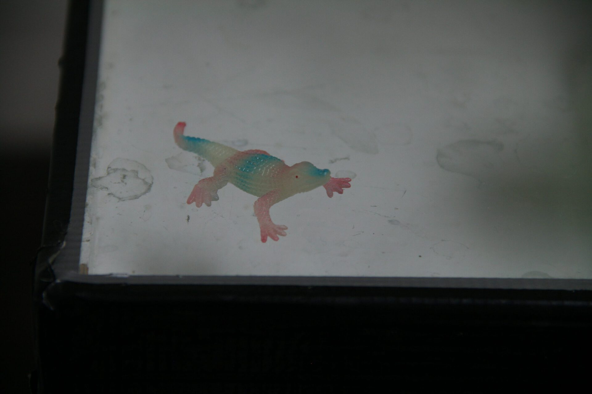 Jana Rippmann, o.T., 2022, mixed media