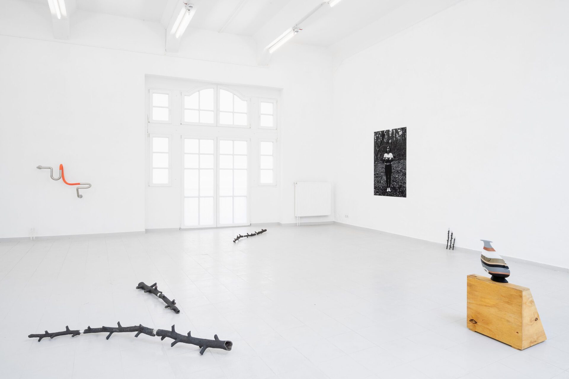 Jakob Limmer, Anneliese Greve, Jaewon Kim