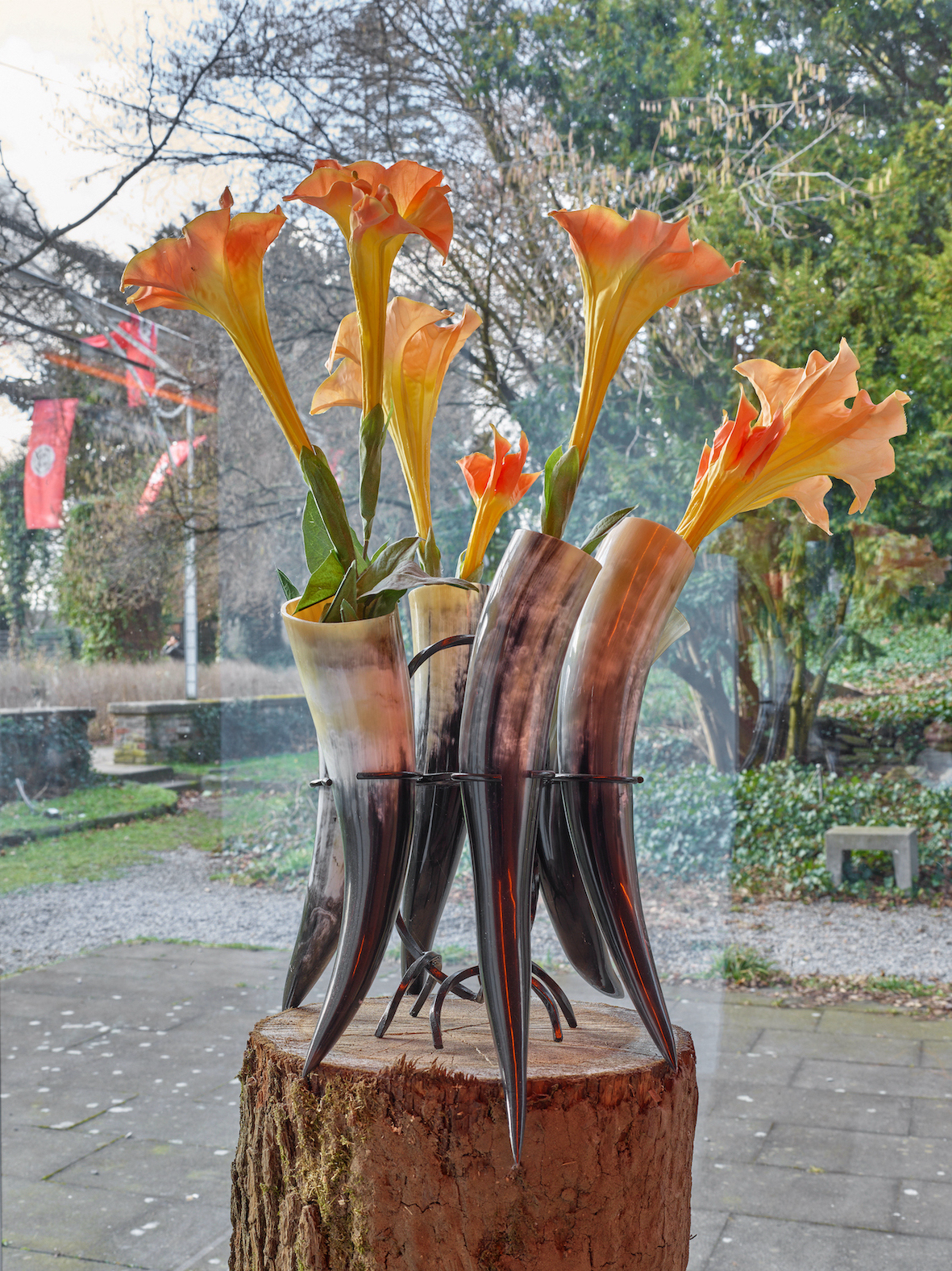 Frankfurter Hauptschule, Mit der Sexsekte auf die Selbstmordparty, 2022, methorn stand, Brugmansia, 60 x 40 x 40 cm