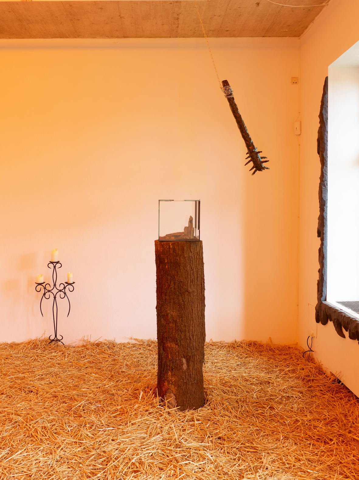 Frankfurter Hauptschule, 1 like = 1 prayer, 2022, scorpion, terrarium, motorized nail club, 120 x 30 x 30 cm