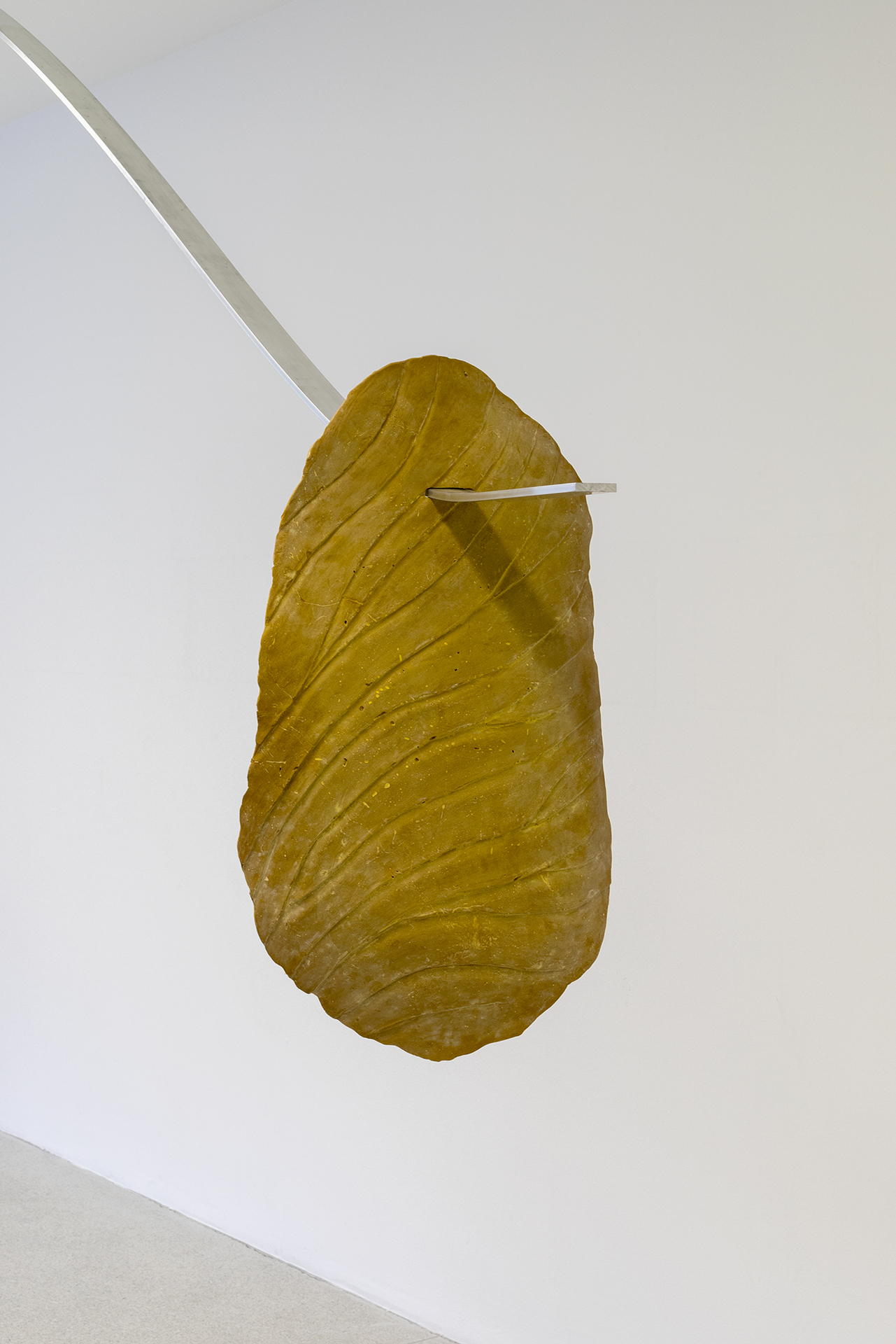 Gil Pellaton, Faces of Nature, 2021, Kurkuma und Knochenleim, 60 x 90 x 10 cm