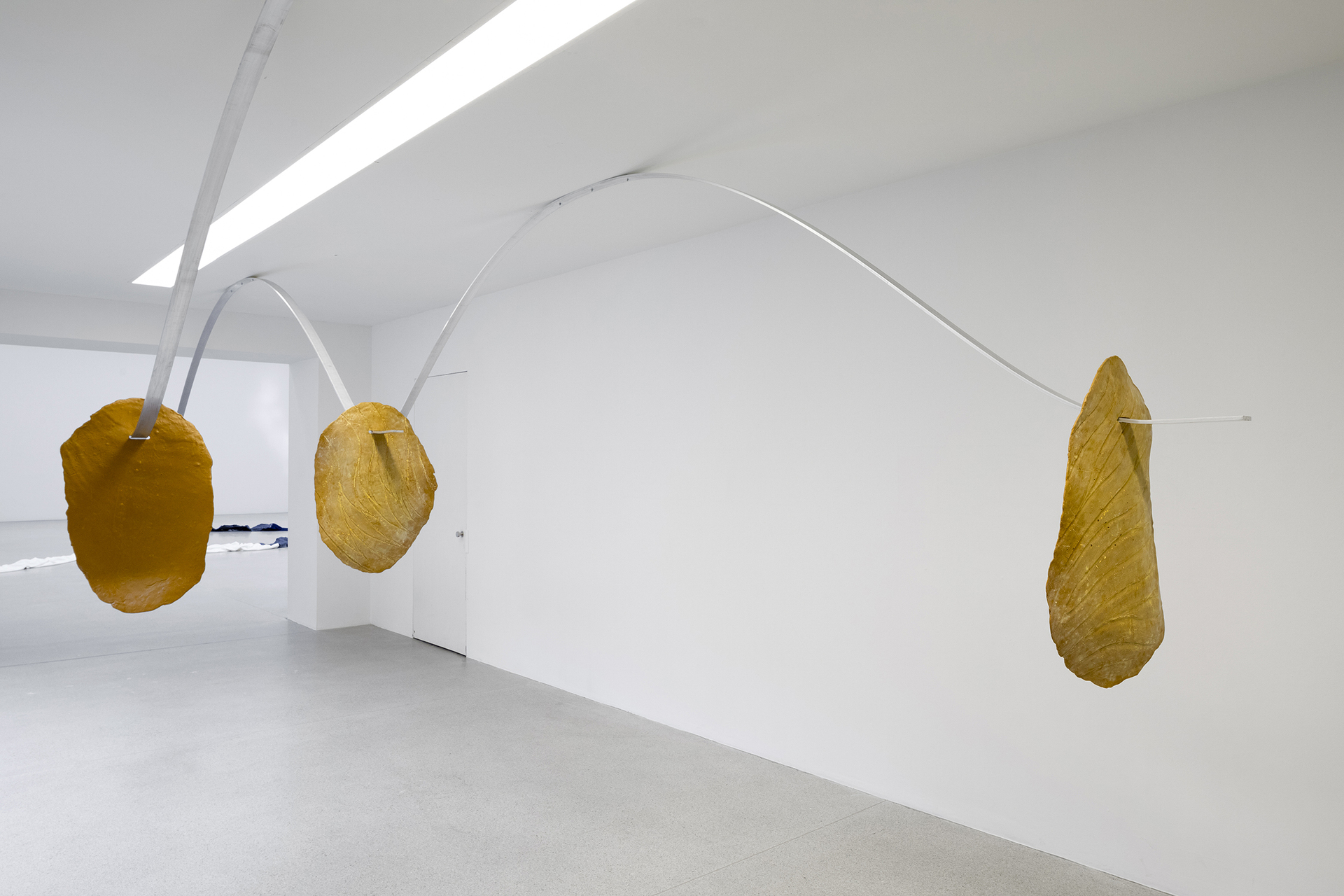 Gil Pellaton, Installation View