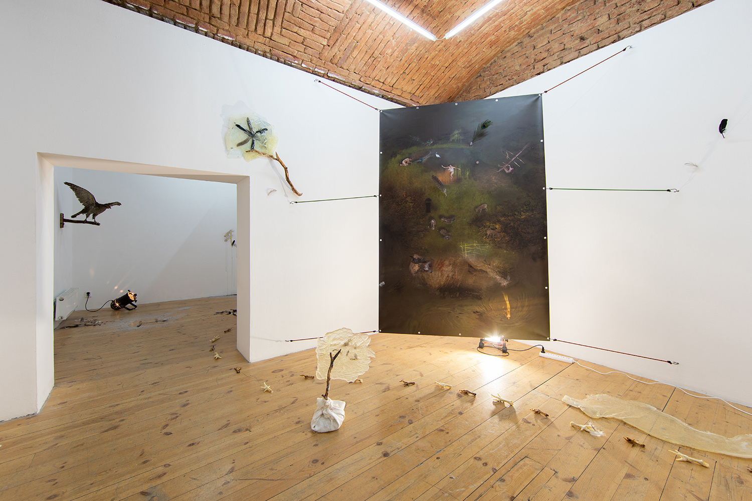 Nephro Studio - The Seekers, installation, 2022, various dimensions