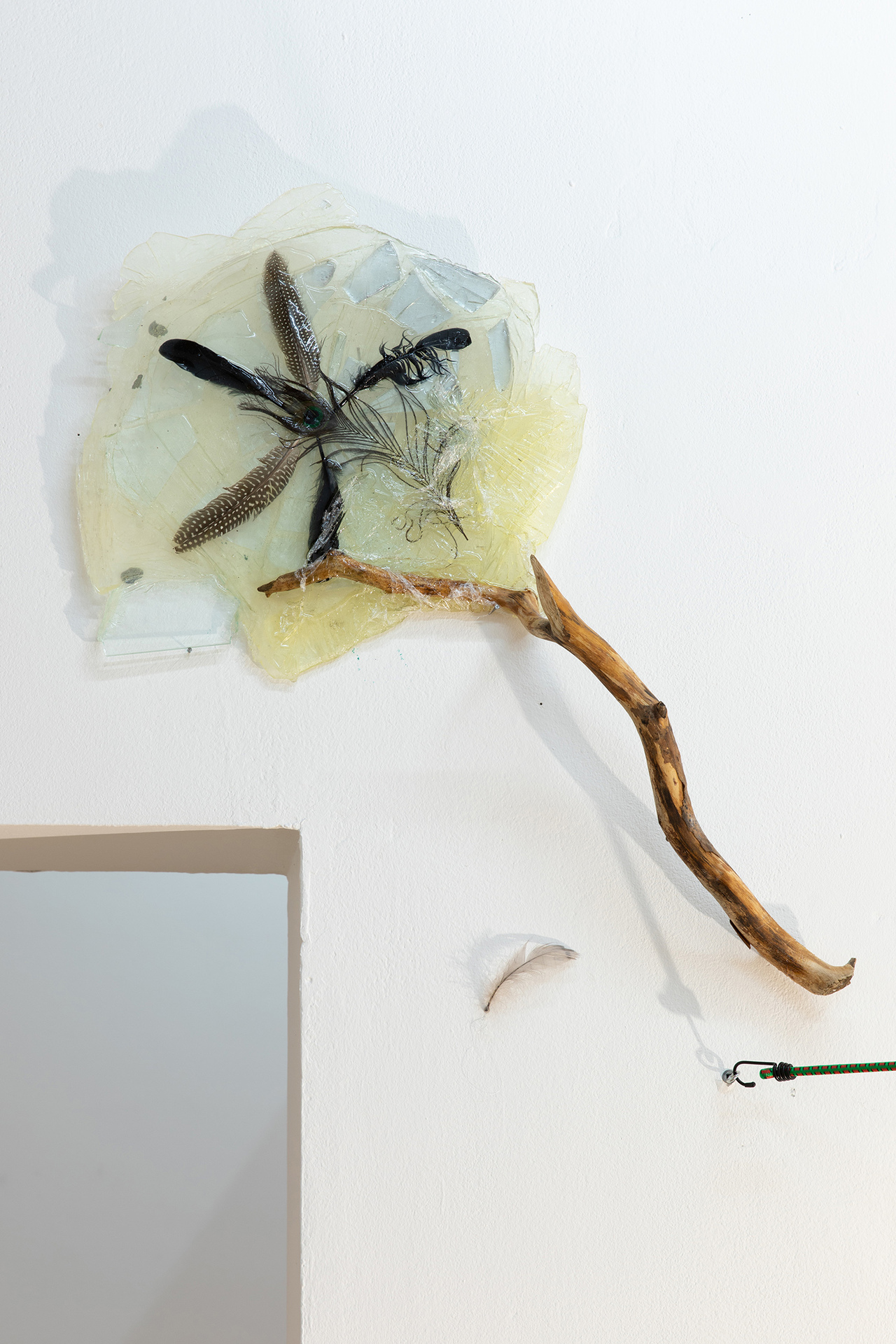 Nephro Studio - The Seekers, installation, 2022, various dimensions
