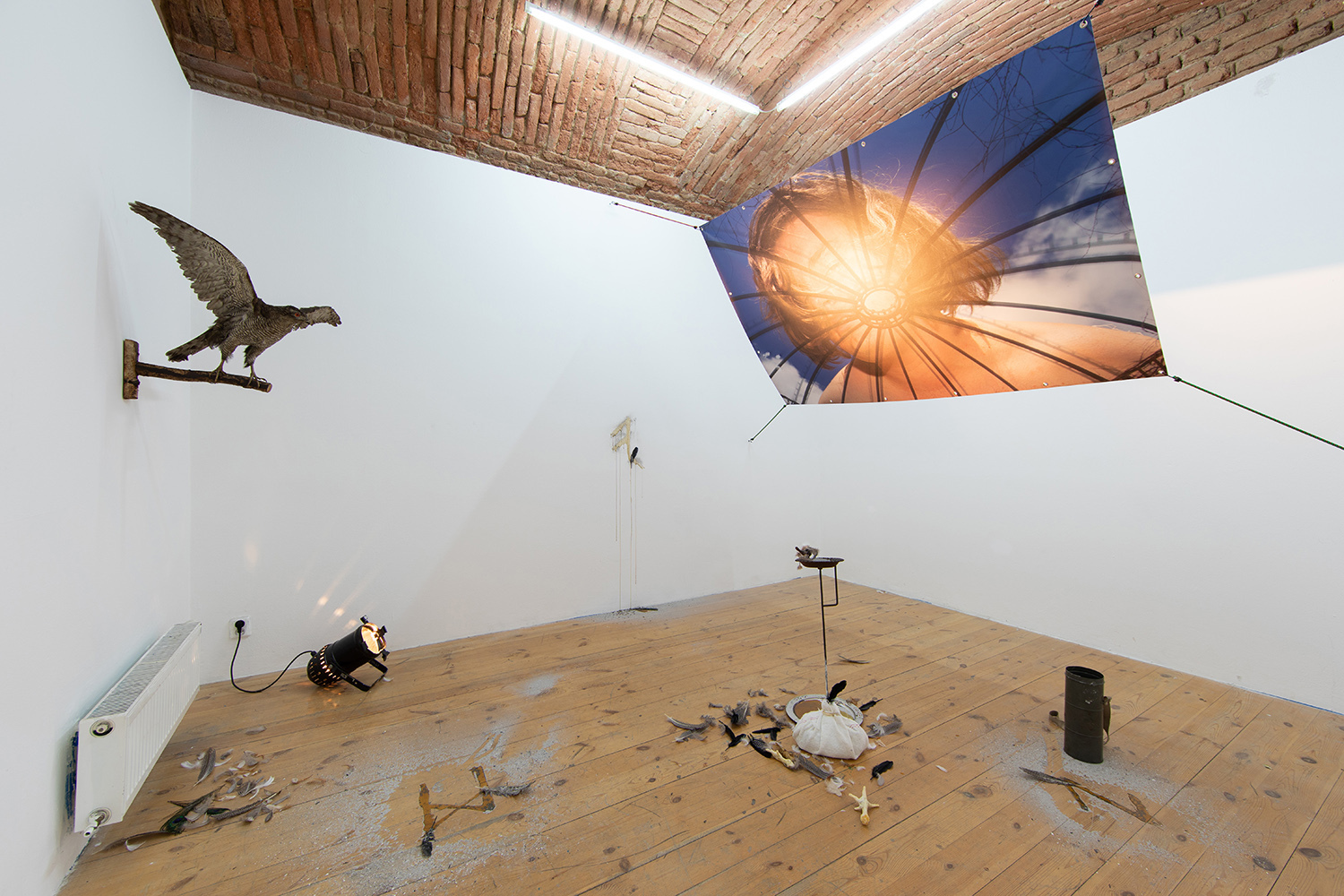Nephro Studio - The Seekers, installation, 2022, various dimensions