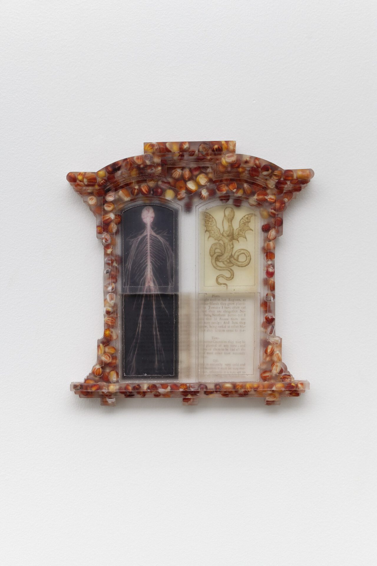 Sula Bermúdez-Silverman, Quò tendis?, 2022, epoxy resin, maize, transparency film, 22.9 x 20.3 x 2.5 cm, unique