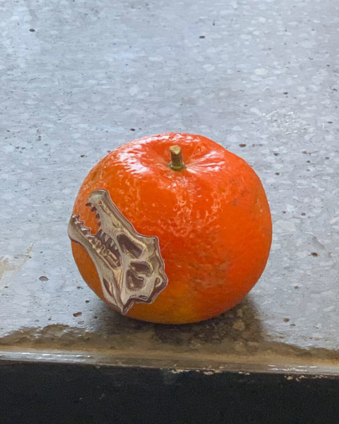 Kim Pradera, Dieselbe Person, 2022, performance (screenshot 3/3)