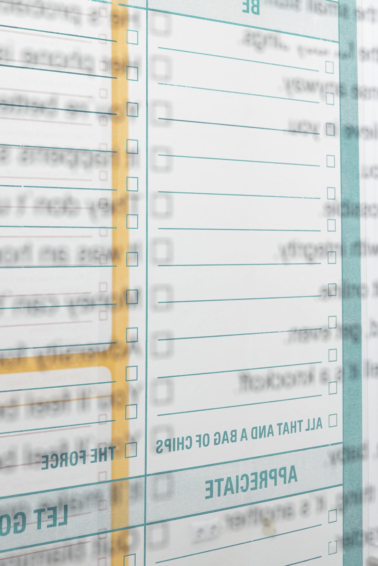 Schwabinggrad - Lea Vajda - exhibition view (detail 1)