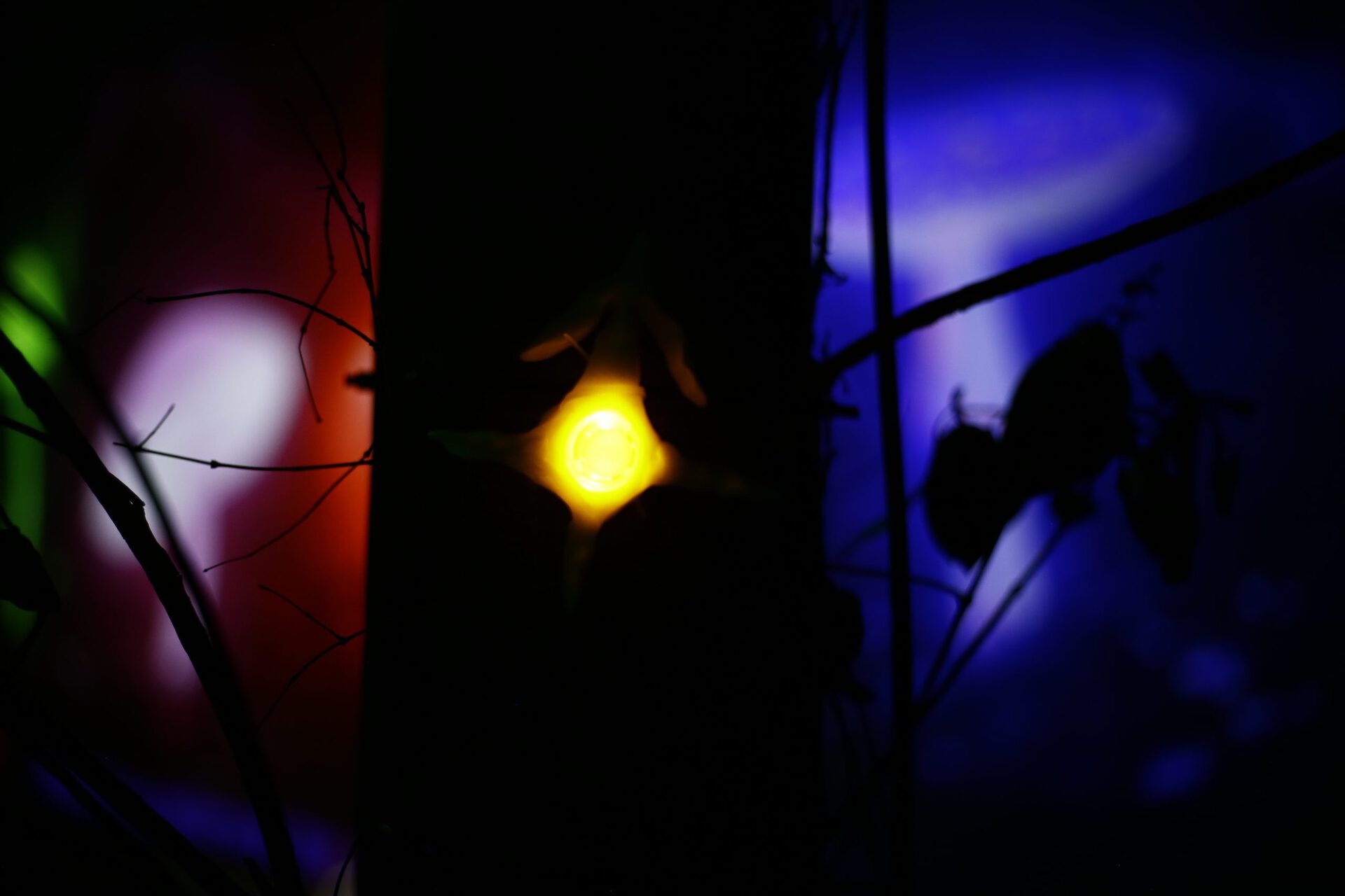 Juliette Lizotte, Sisters of the Wind, 2022, detail of installation