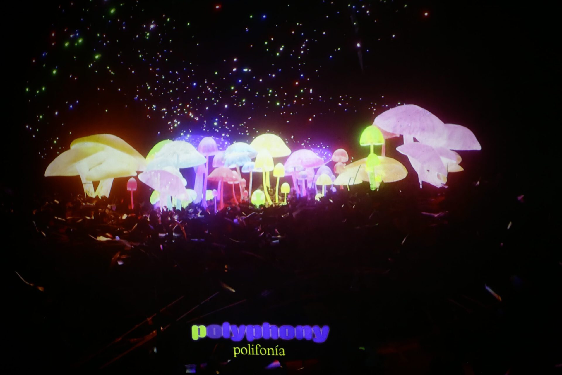 Juliette Lizotte, Mushrooms, 2022, Moving image