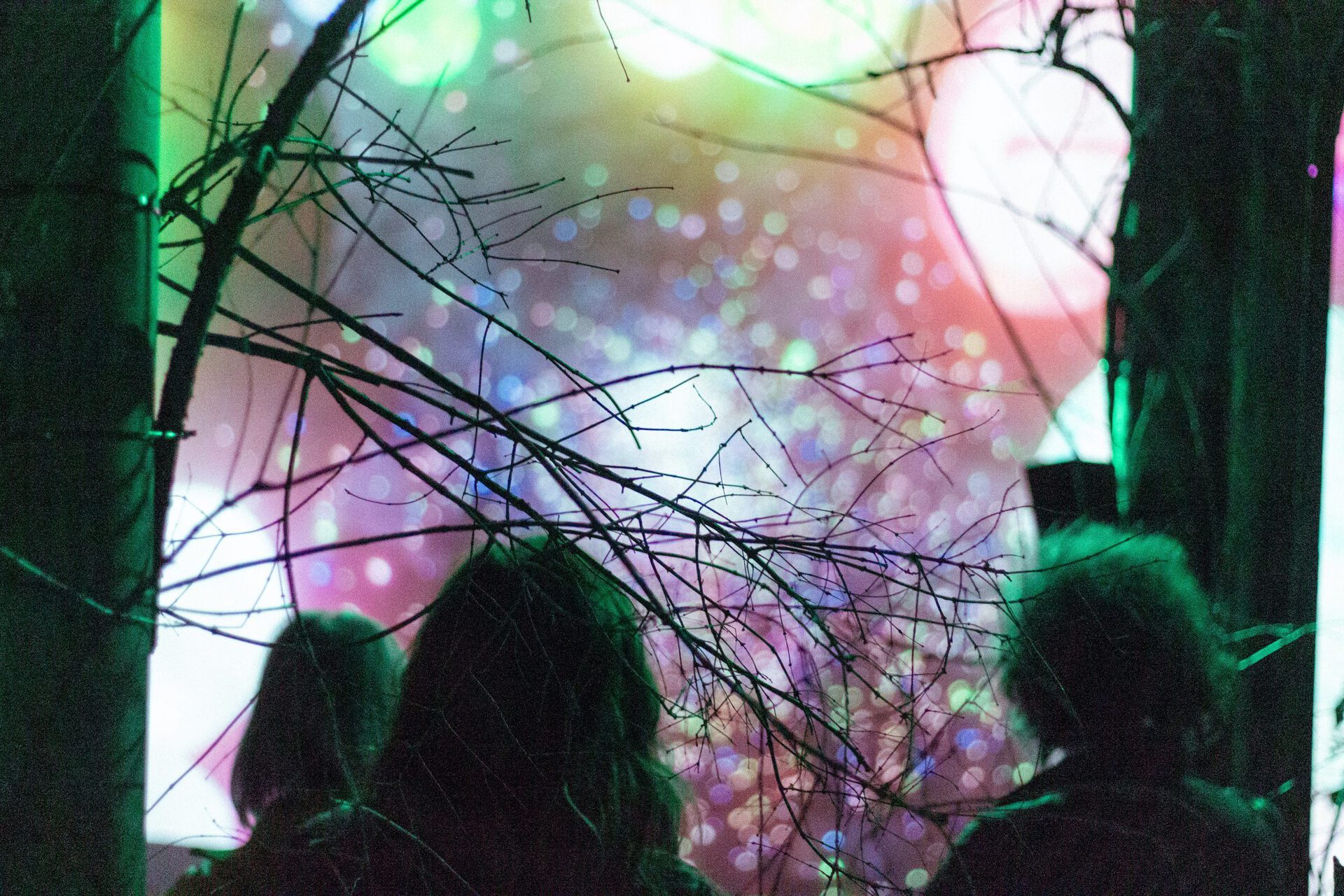 Juliette Lizotte, Sisters of the Wind, 2022, installation