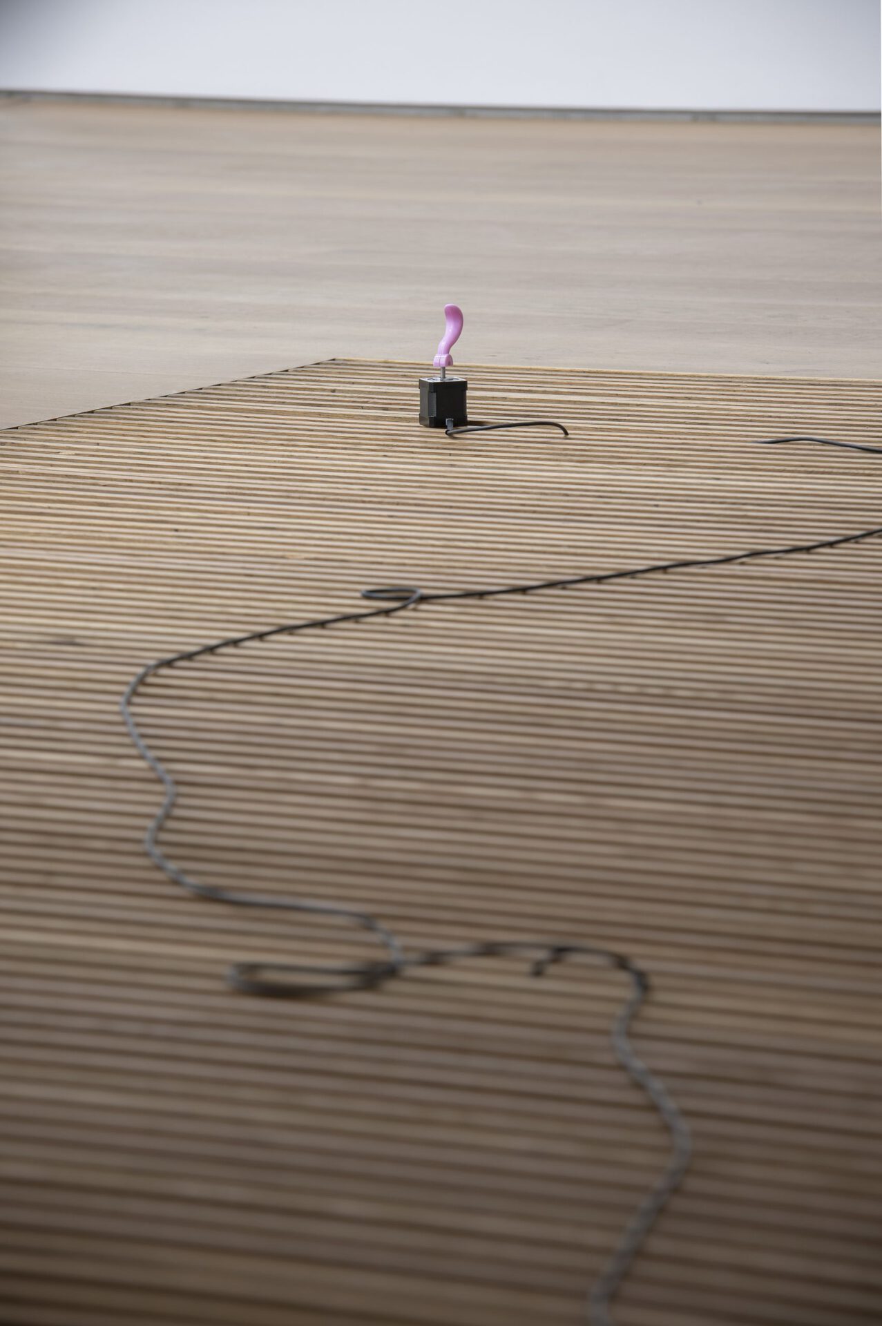 Robert Keil, "Strings", 2022, Toy (Robo Smart Puppy), cable, electronic hardware, software, metal, plastic