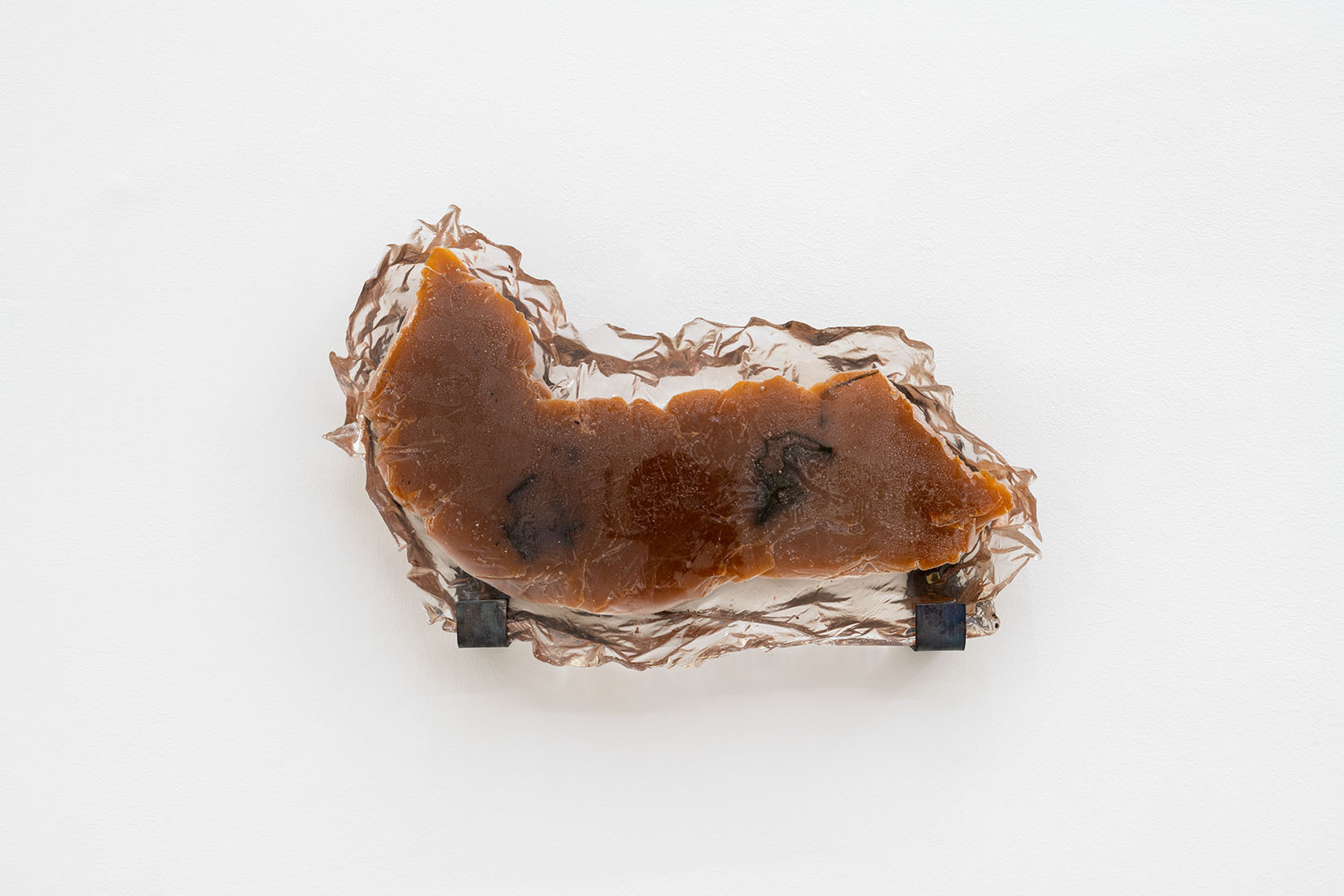 Bri Williams, Limb 2, 2021, Resin, soap, wax, leaves, thorny twigs, 26 x 43 x 5.5 cm