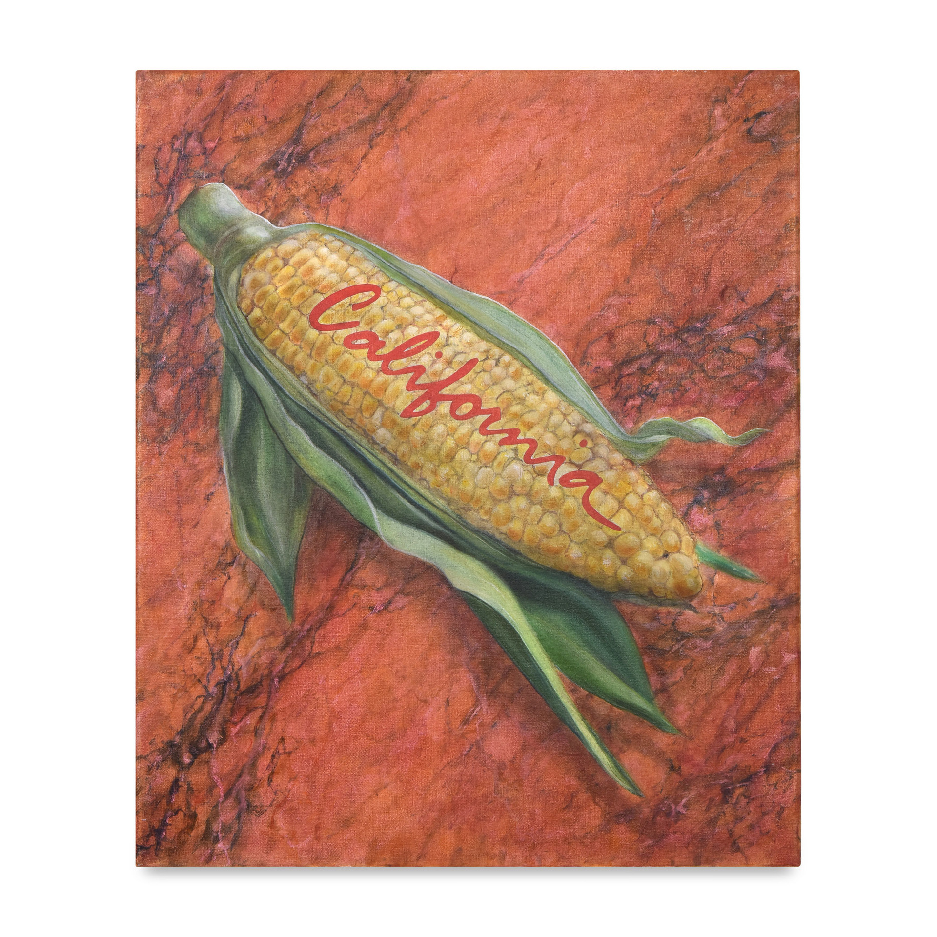 Scott Young, Still Life with California Corn, 2021. Oil on linen, 60 x 50 cm