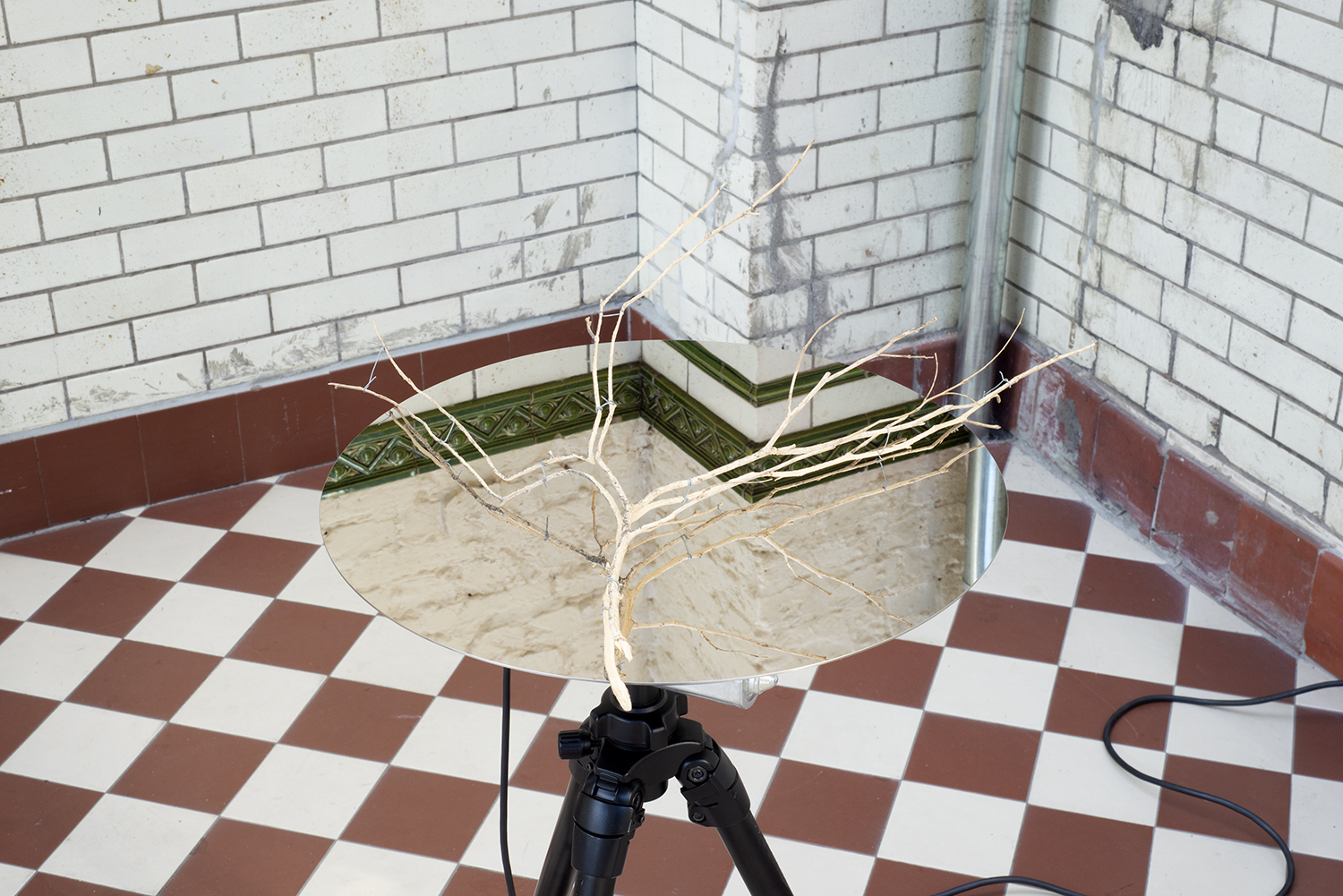 Daniel Steegmann Mangrané, Rotating Table / Speculative Device, 2018 mirrored-polished steel, rotating device, tripod, split branch
