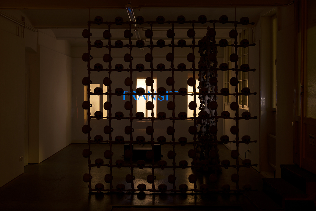 Stefan Lux, Video TRANSIT, 280 cm x 500 cm,