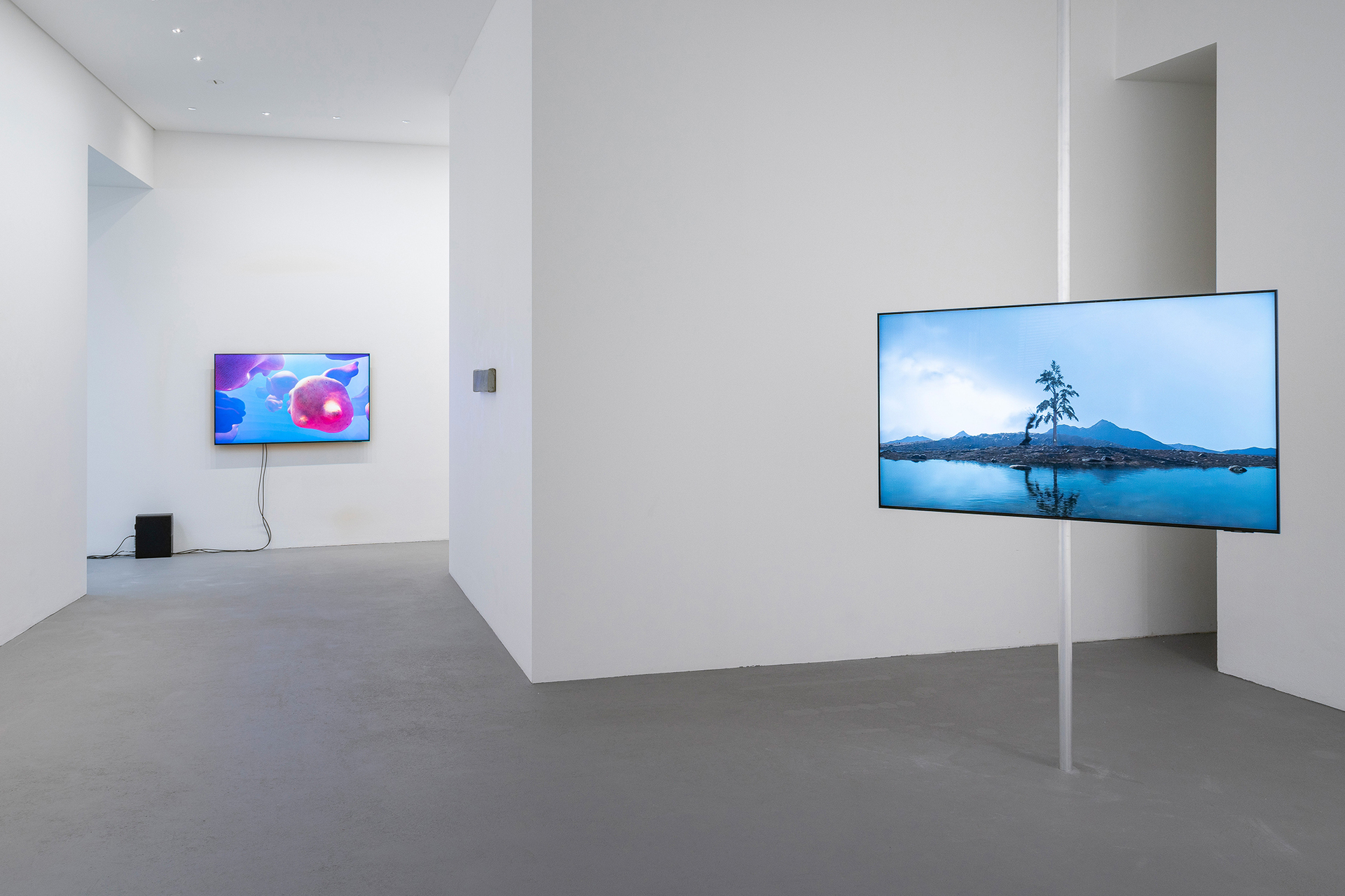 Troika, Rindon Johnson, under the sun, exhibition view, 2022