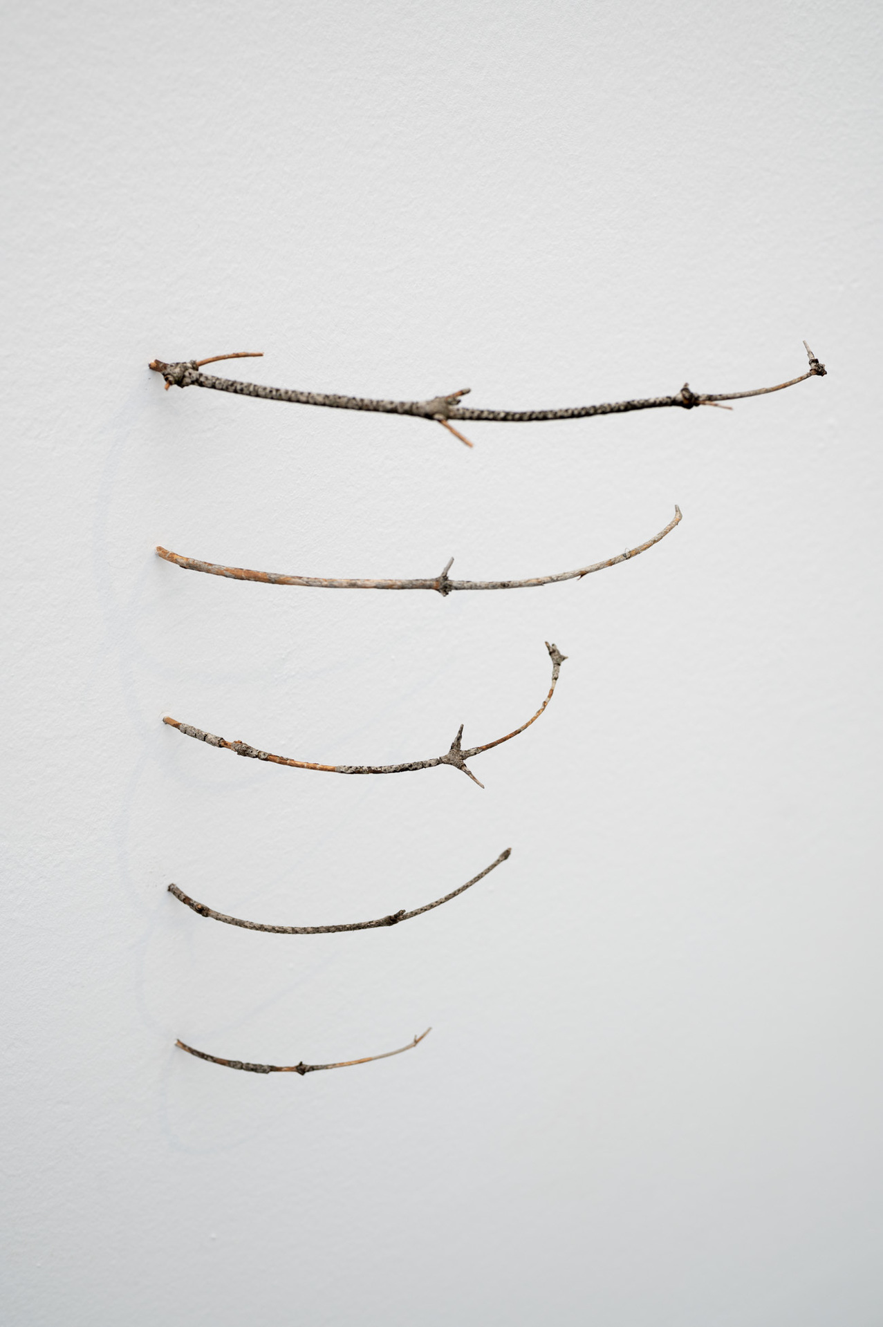 Vajiko Chachkhiani, They keep dogs quiet, wood, 30 x 26 cm, 2022