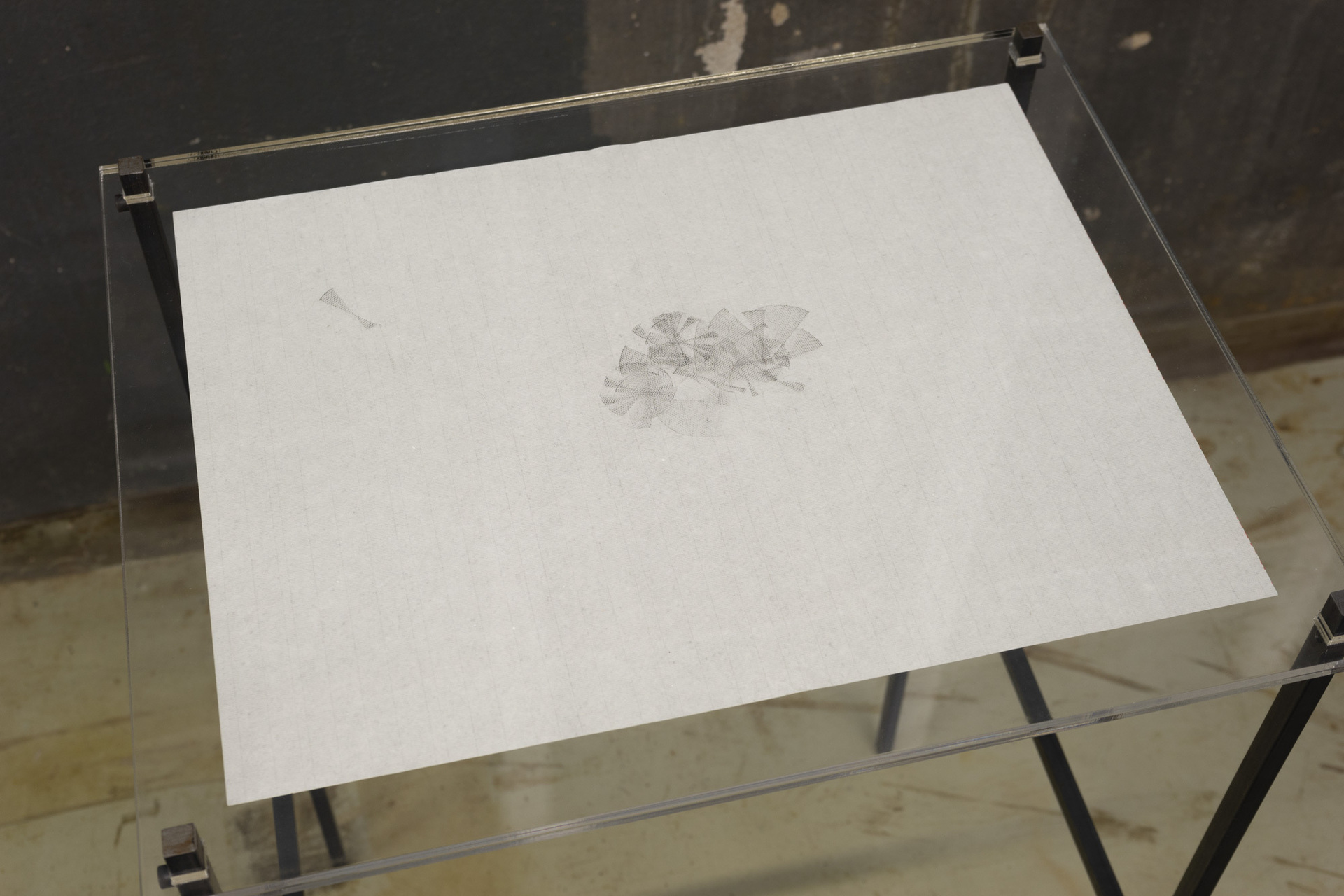 Al Svoboda „Untitled drawing for vitrine II“ 2021-22 graphite on rice paper, steel, plexiglass 34,9 x 45,7 cm