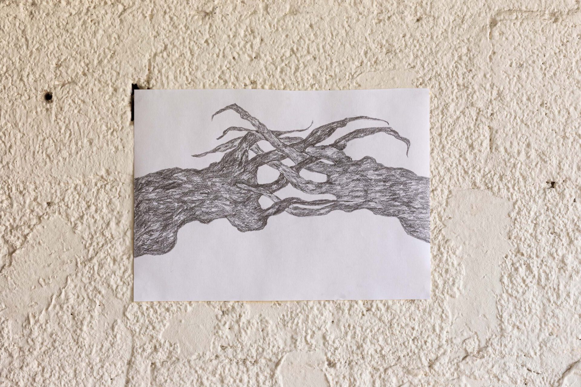 Witch's hands, 2022 (Pencil on paper)