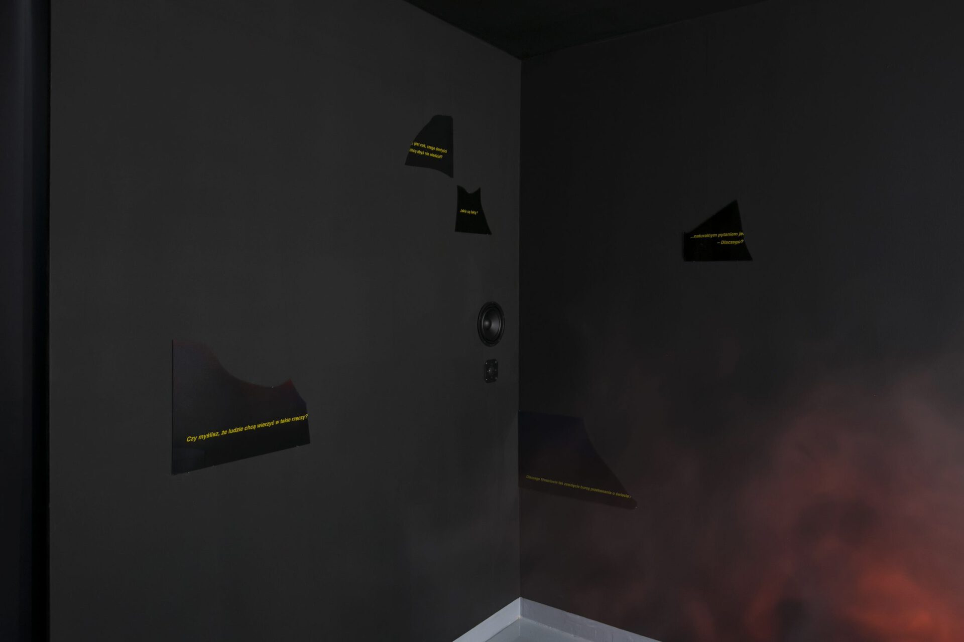 Szymon Kobylarz, What's wrong with this film? , 2022, Installation, Exhibition View_5