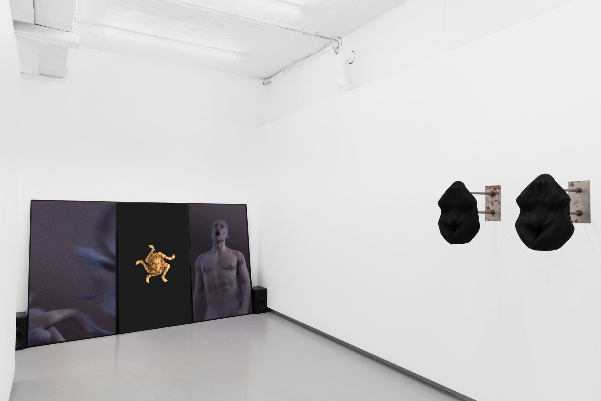 And Darkness the Right Hand of Light installation view.