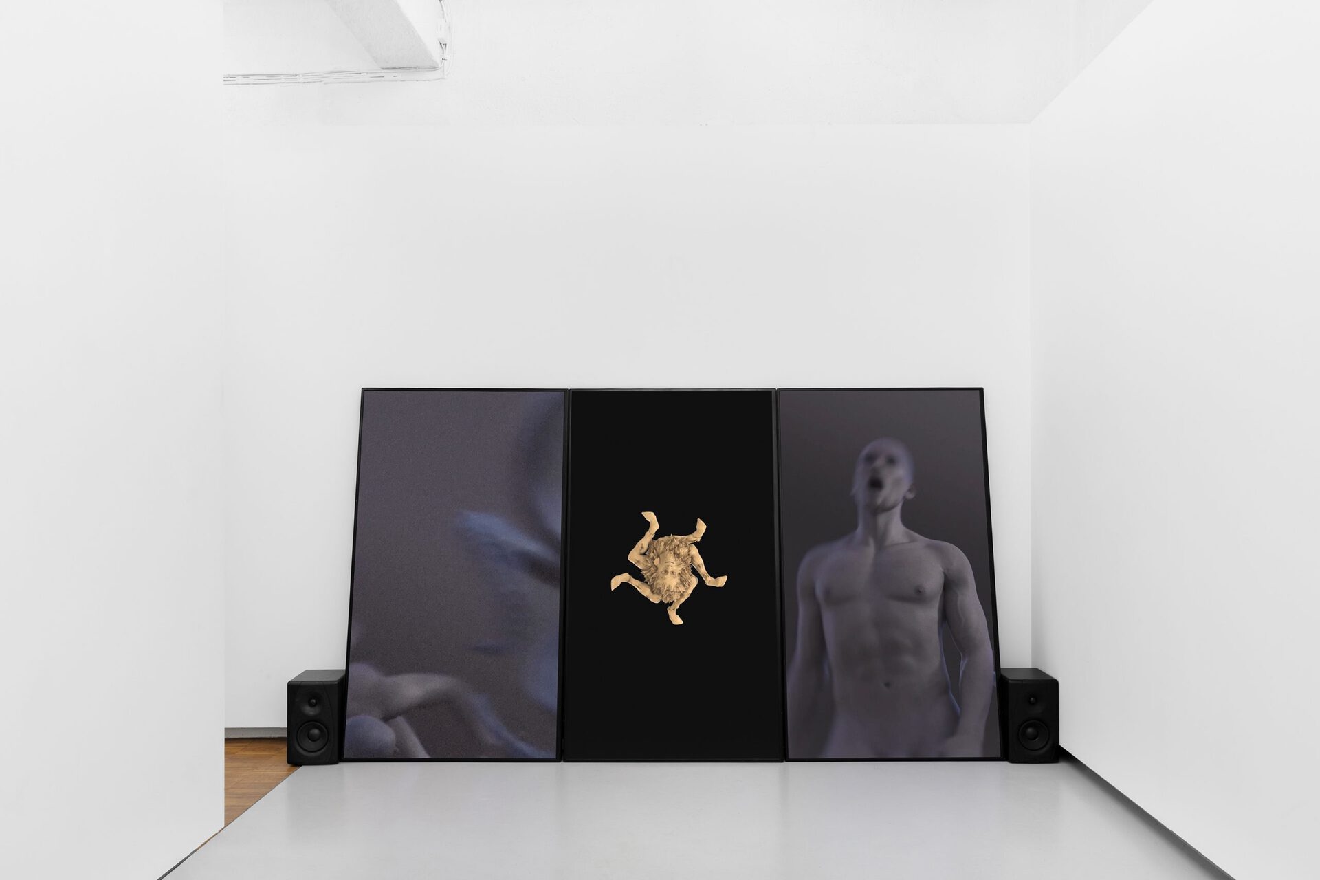 Tim Høibjerg, Active Denial System, 2021 (Triptych video animation, 07:00 min).