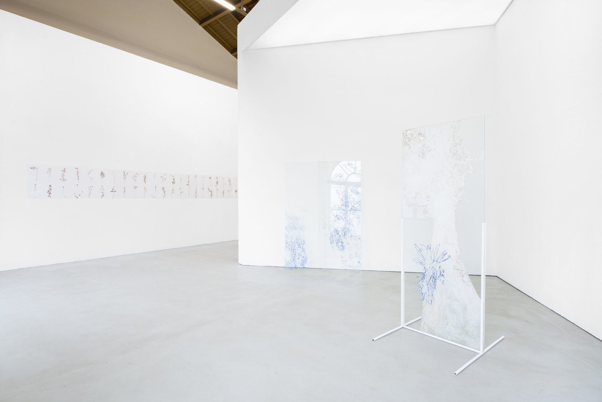 Elsa Salonen, Solve et coagula, Exhibition view