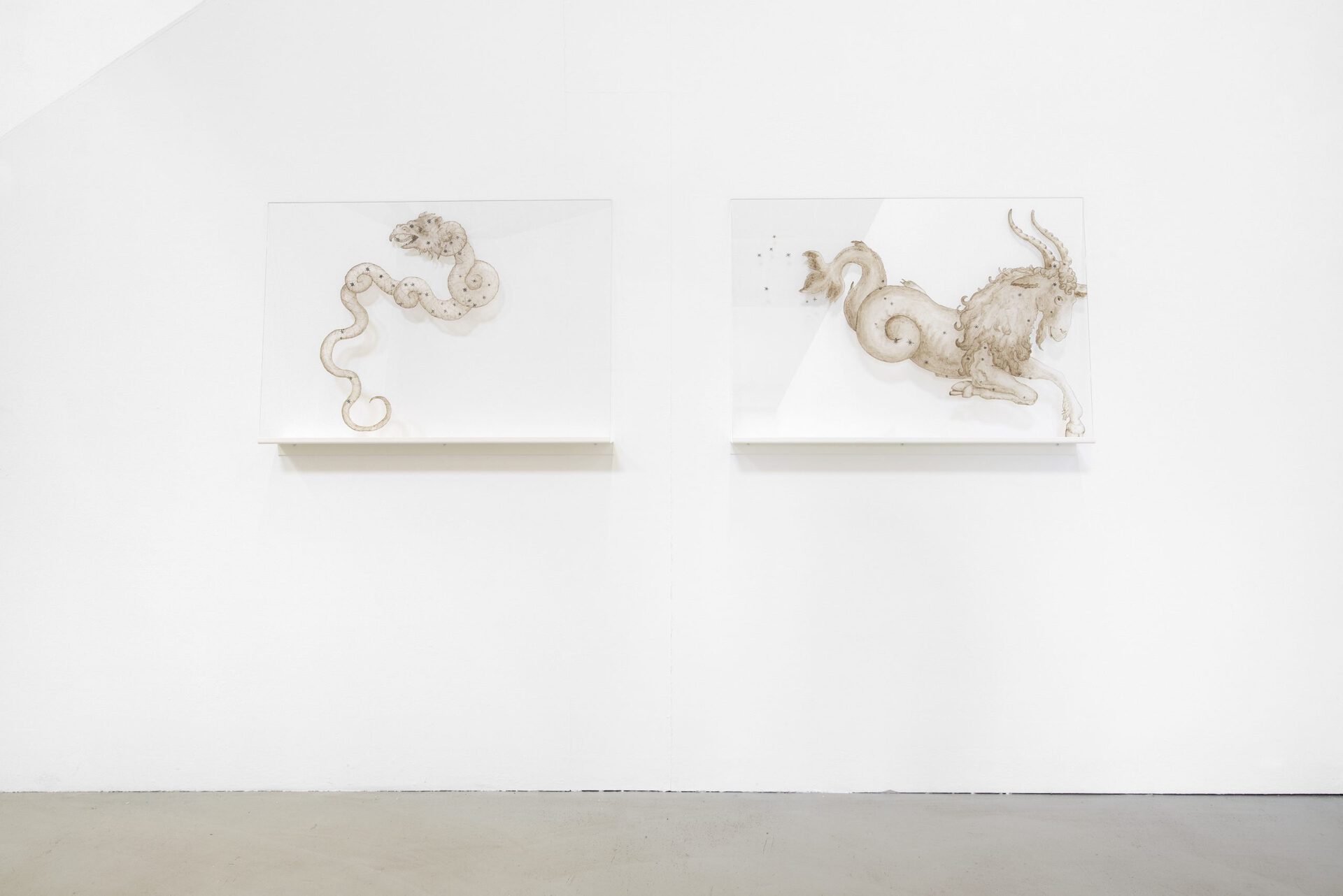 Elsa Salonen, We Are All Made of Stardust (Draco) + (Capricorn), stone and iron meteorite dust on glass, metal shelf 2016, 70x100 cm
