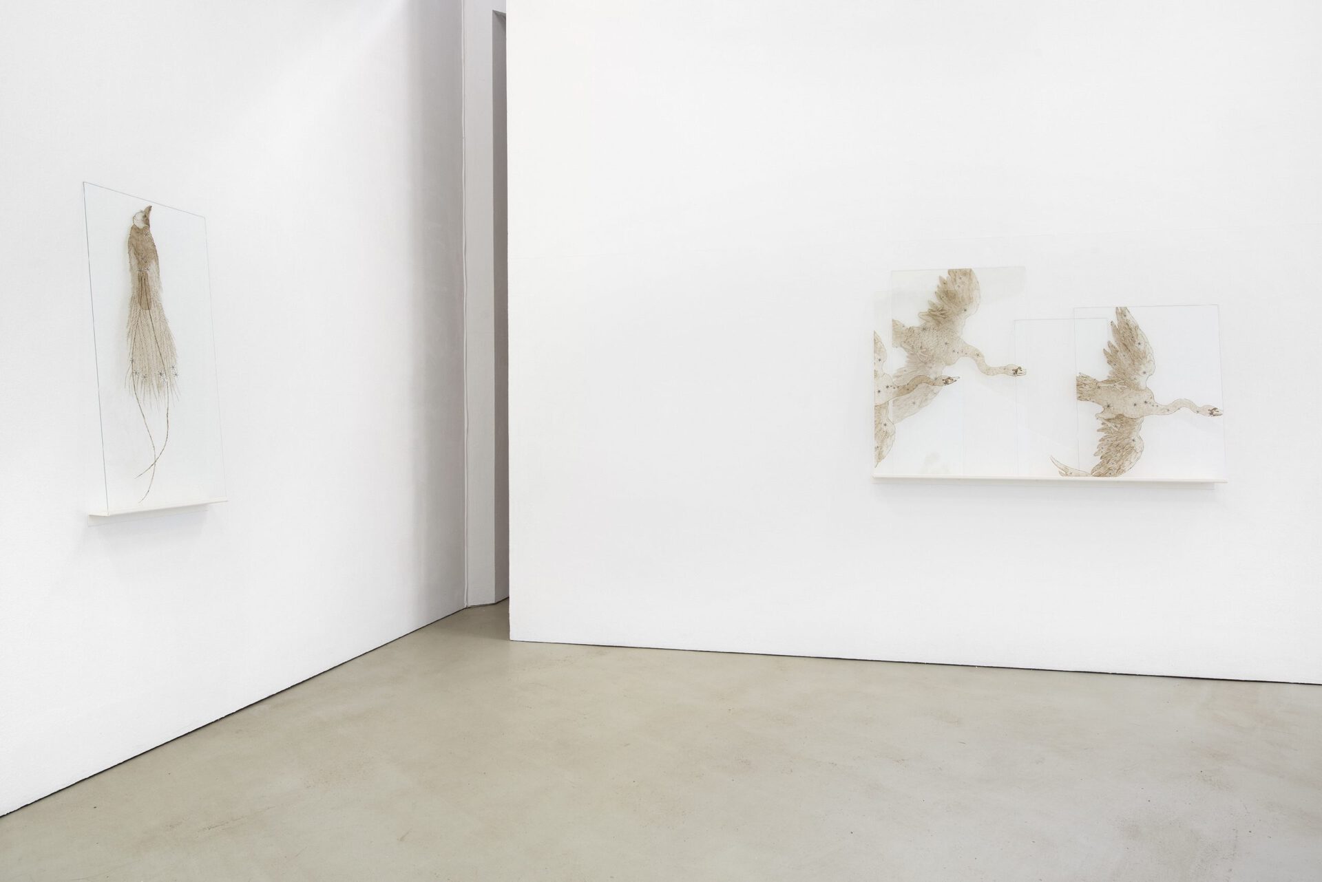 Elsa Salonen, Solve et coagula, Exhibition view