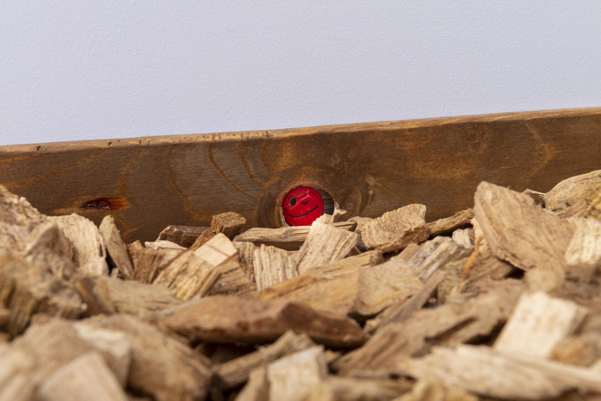 Annabelle Galland & Victor Delétraz, Encore Heureux Exhibition View