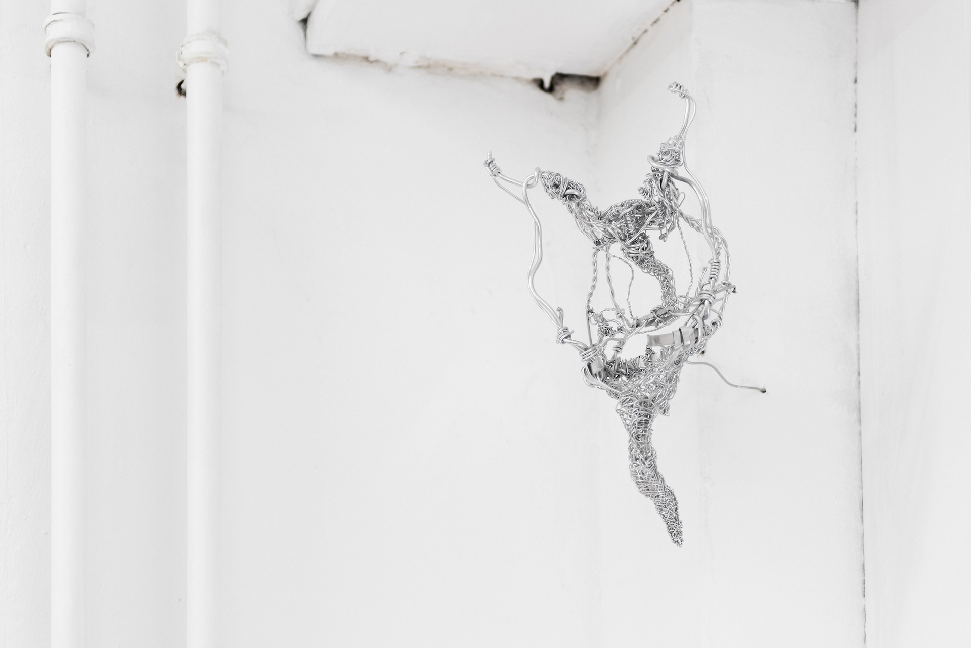 Karo Schultz, glaring bones, aluminium wire, 31 x 16 cm, 2021.