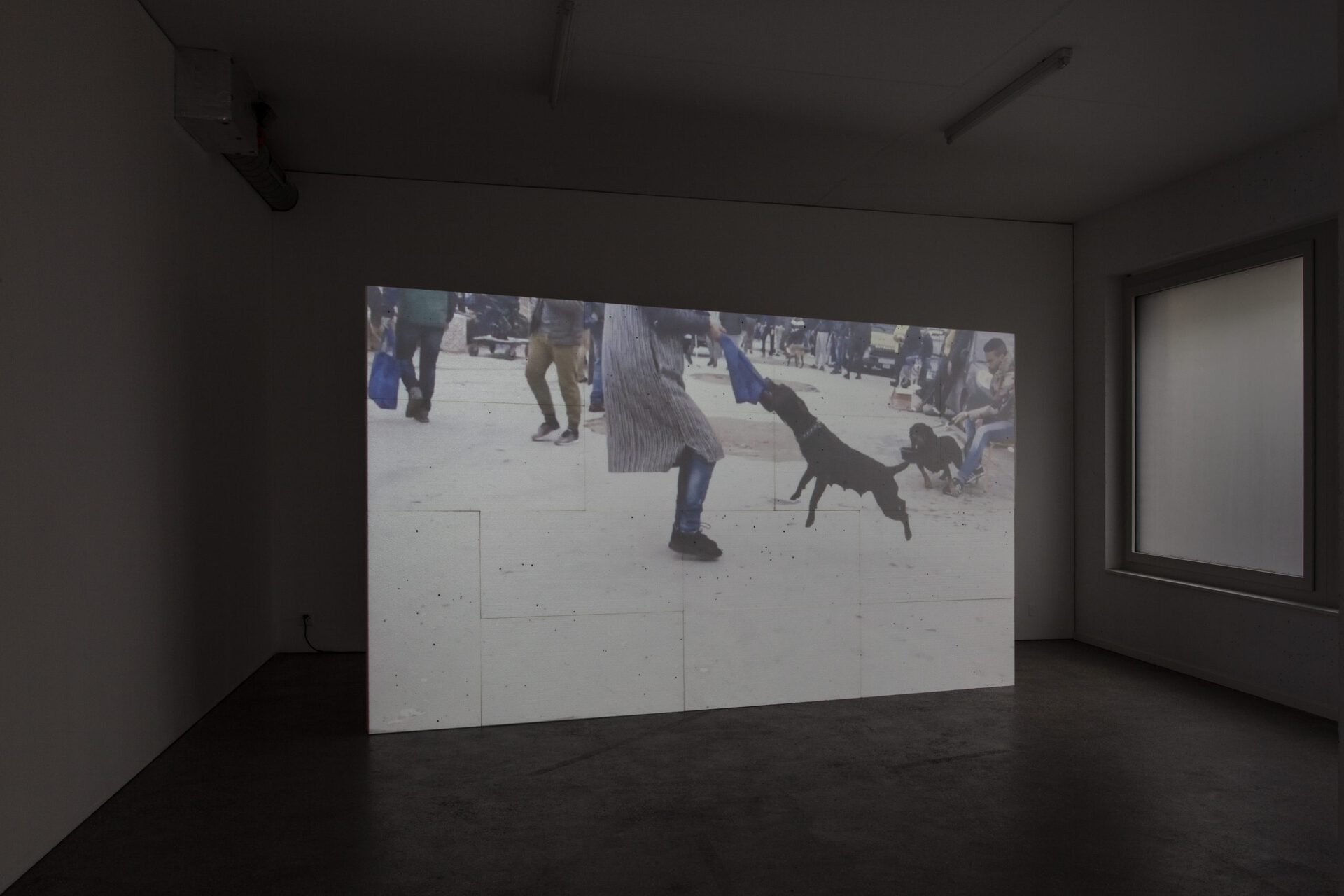 Roman Selim Khereddine, d.e.d. world, 2022 HD video, color, sound, 16 secs (loop), projection on 14 Styrofoam panels, 2 x 3.5m
