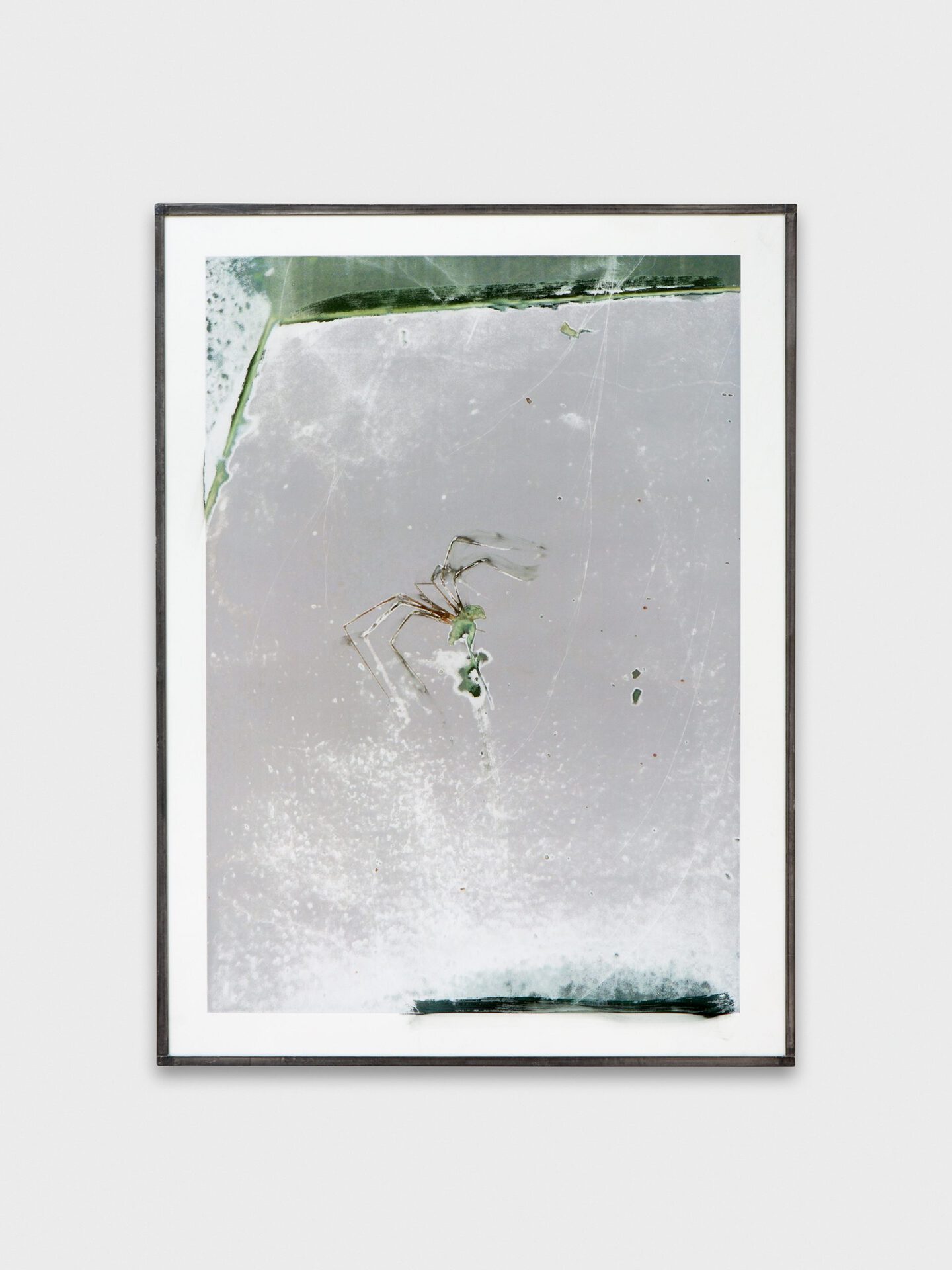 Jean-Vincent Simonet Spider (heirloom), 2022 Inkjet print on plastic foil, fingertips intervention, handmade lead frame, anti-reflective glass 42 × 31cm