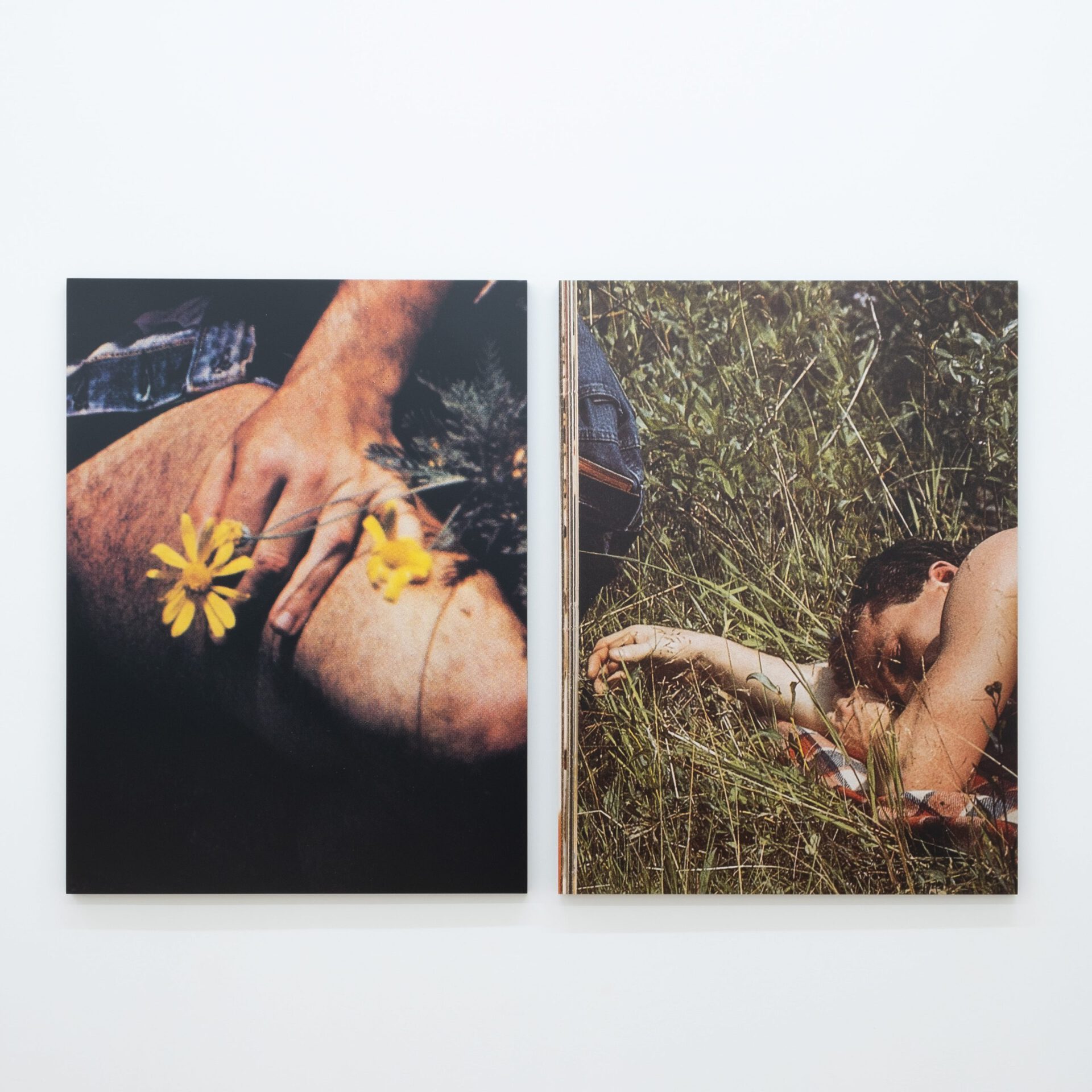 Pacifico Silano, ... And It Felt Like A Kiss, 2022 Two UV laminated archival pigment prints on museum boxes 30 x 40 x 1 inches / 76.2 x 101.6 x 2.5 cm each