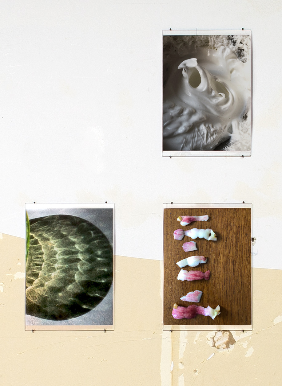 Exhibition view, Daniela Baldelli, Interview with "Bestiario domestico, neve" (2019), "De la même lumière que Jheroniemus van Aken [jeːˈroːnimʏs fɑnˈaːkə(n)]  dit Hieronymus Bosch" (2020) and "Porcellane" (2020)