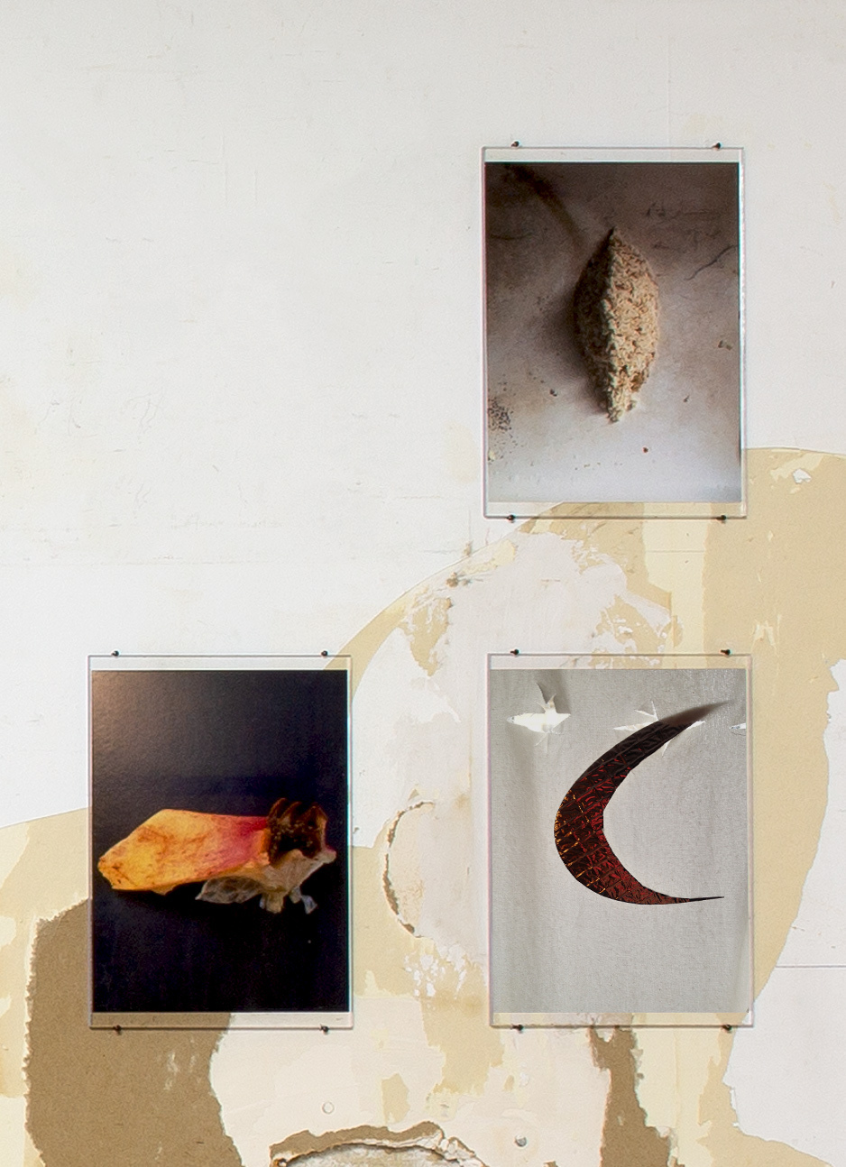 Exhibition view, Daniela Baldelli, Interview with "Ogive" (2020), "Cane - Melograno" (2016) and "Resti negli occhli" (2017)