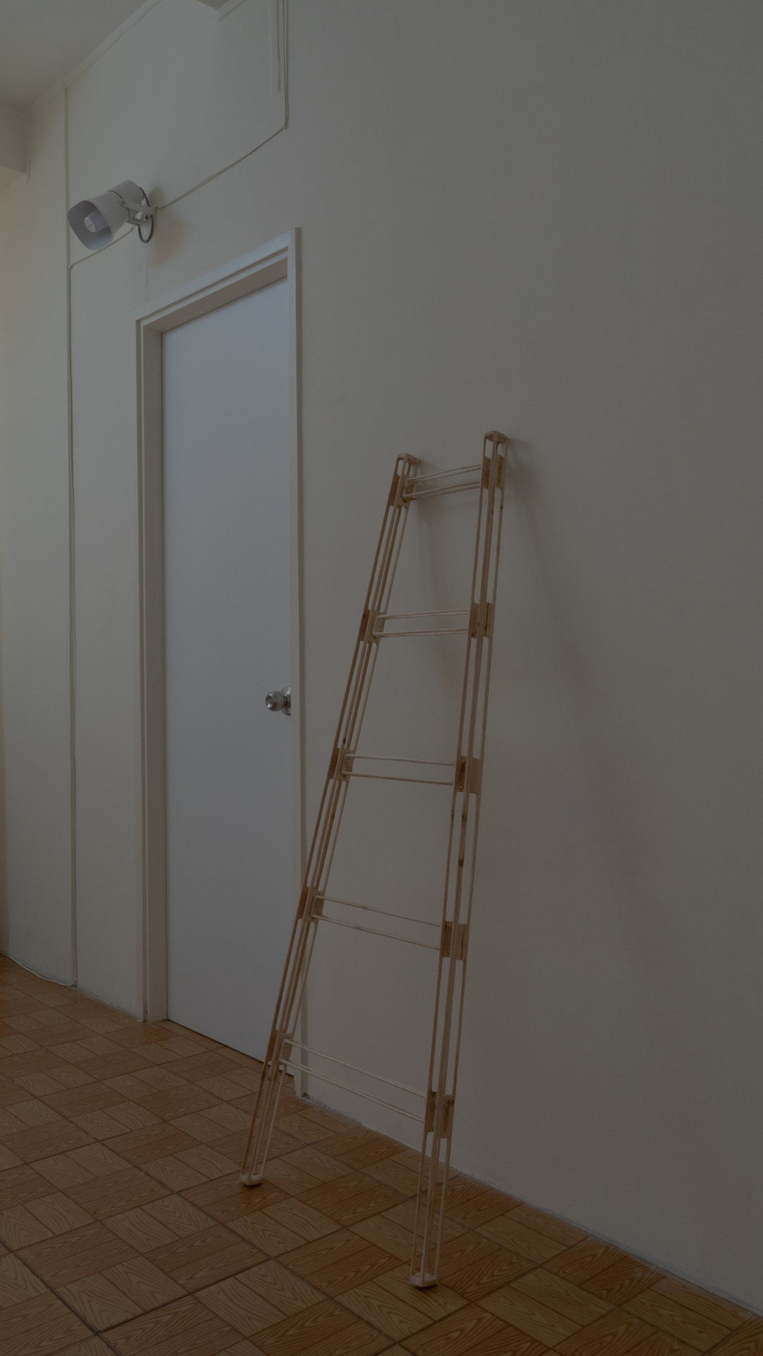 Kong Chun Hei, Ladder, 2022, Wooden ladder, 155 x 55 x 4.5 cm