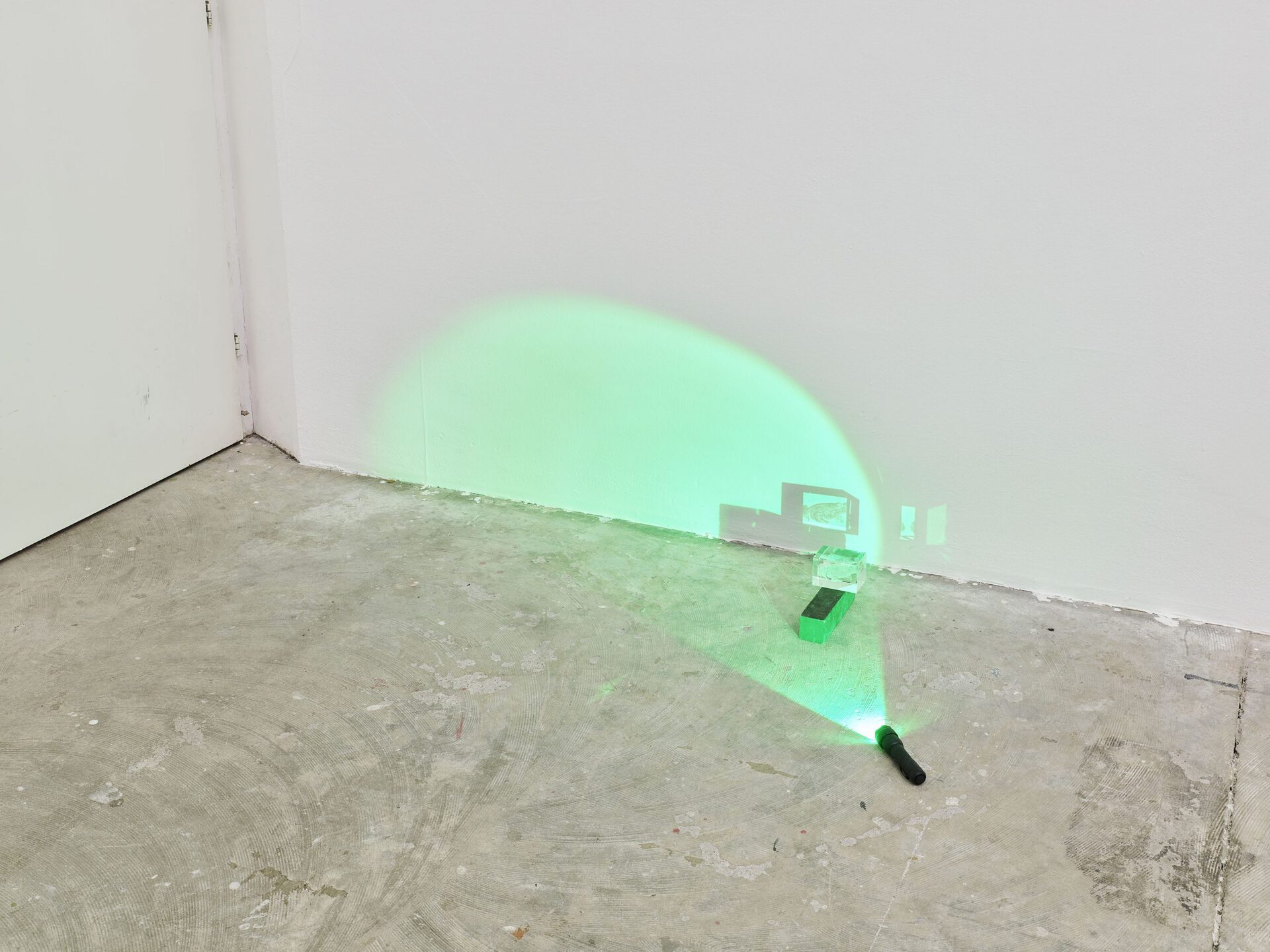 Carisa Mitchell (*1986), «Toad Told Tell, Cat Got Your Tounge, Pussy Don’t Say», 2022, impression holographique sous verre, torche tactique, dimensions variables